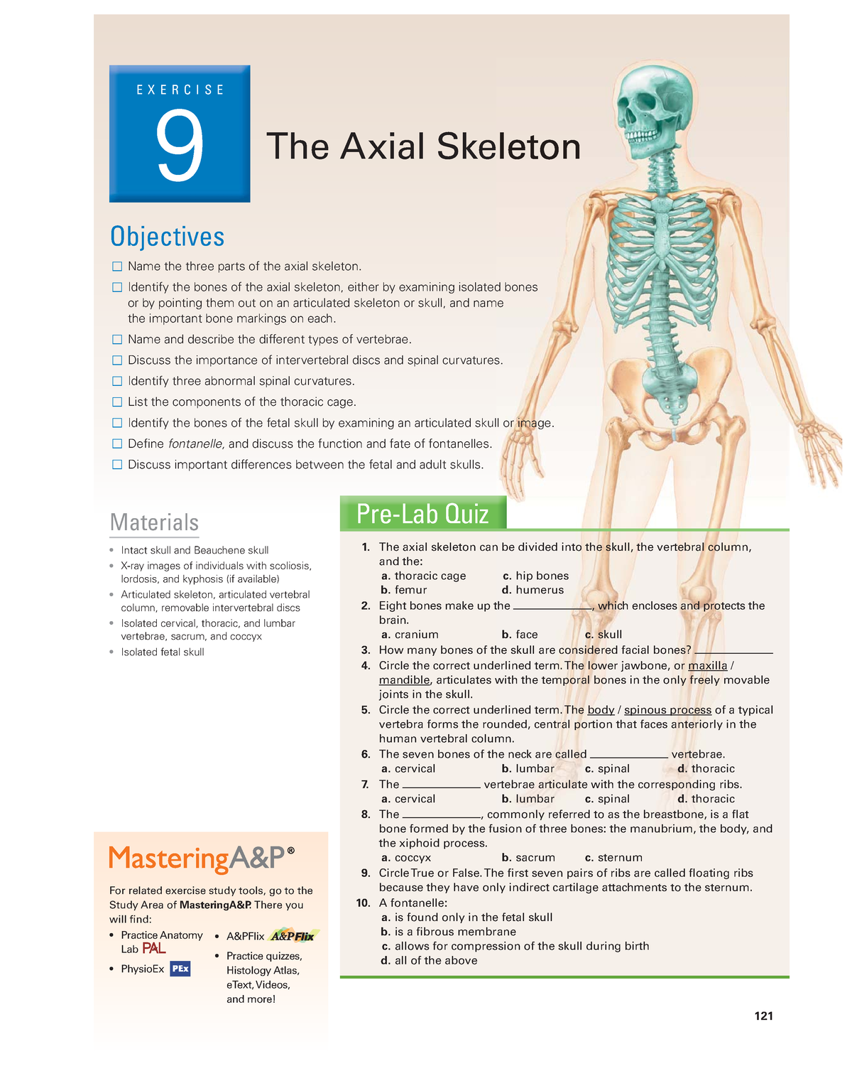 Marieb Lab Manual Exercise 9 - E X E R C I S E 9 The Axial Skeleton 121 ...