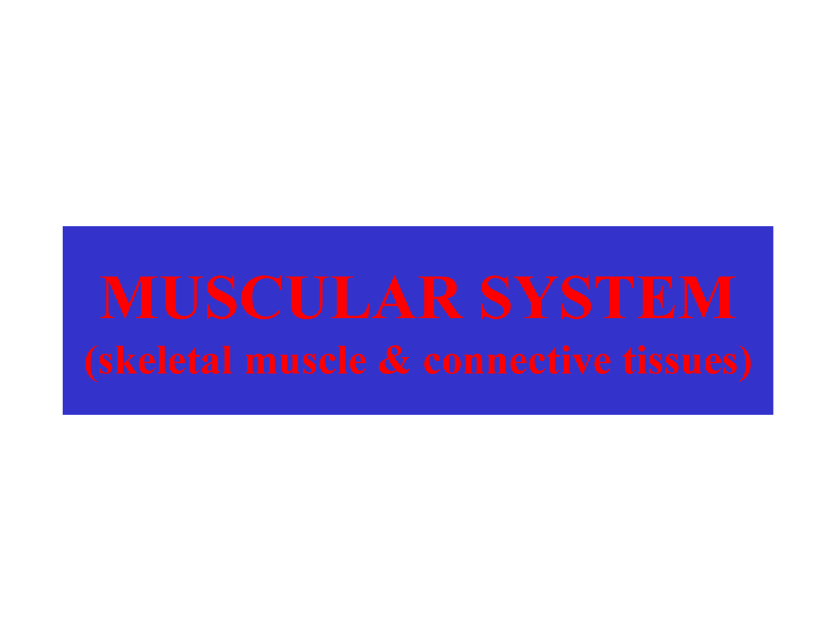 module 14 anatomy and physiology case study #3 muscular system