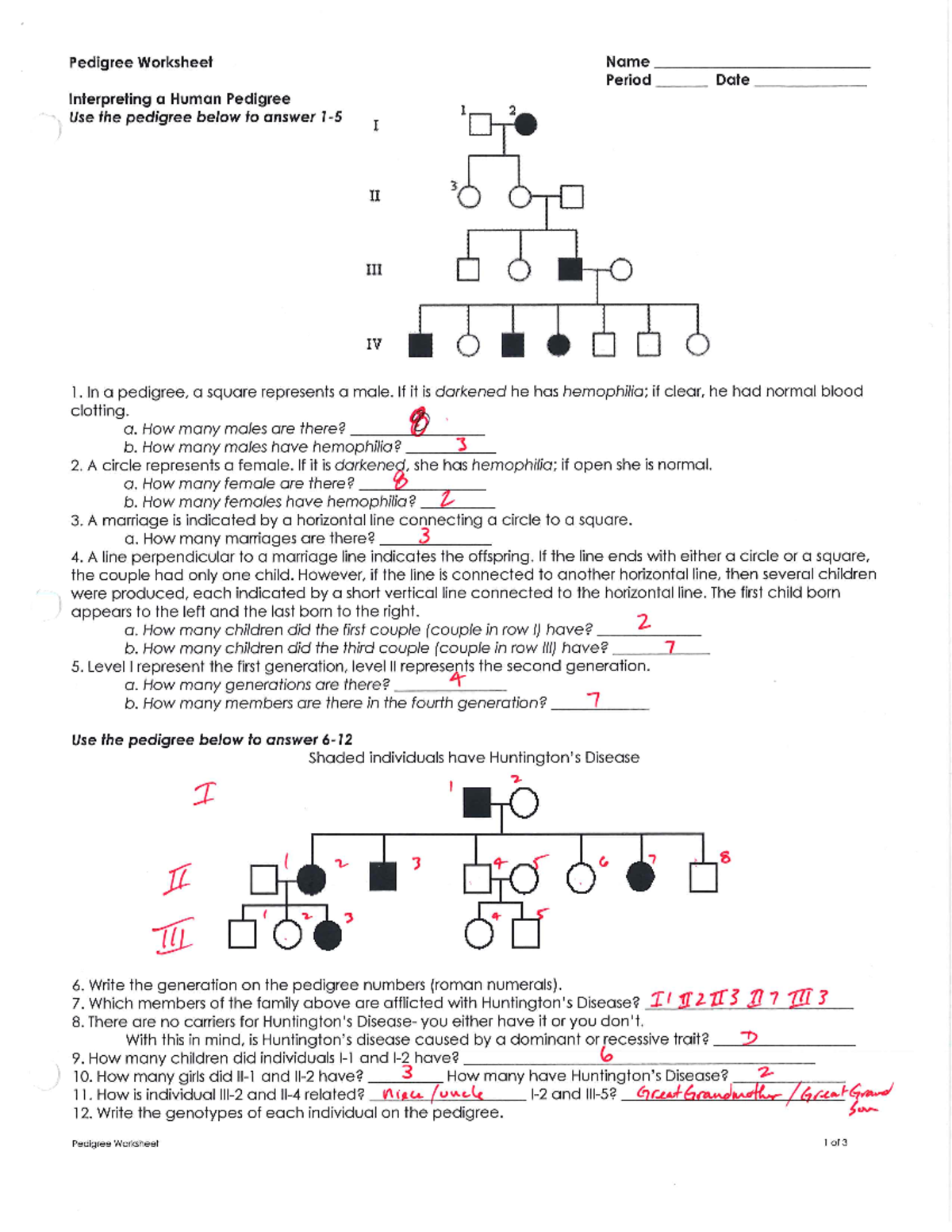 Pedigree Worksheet KEY - Pedigree Worksheet Name Period Date ...