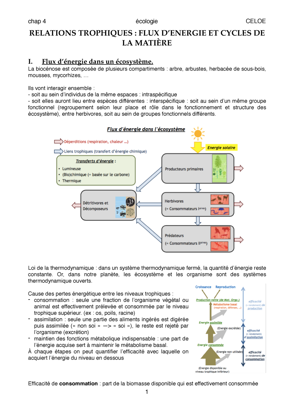 exemples de niveaux trophiques