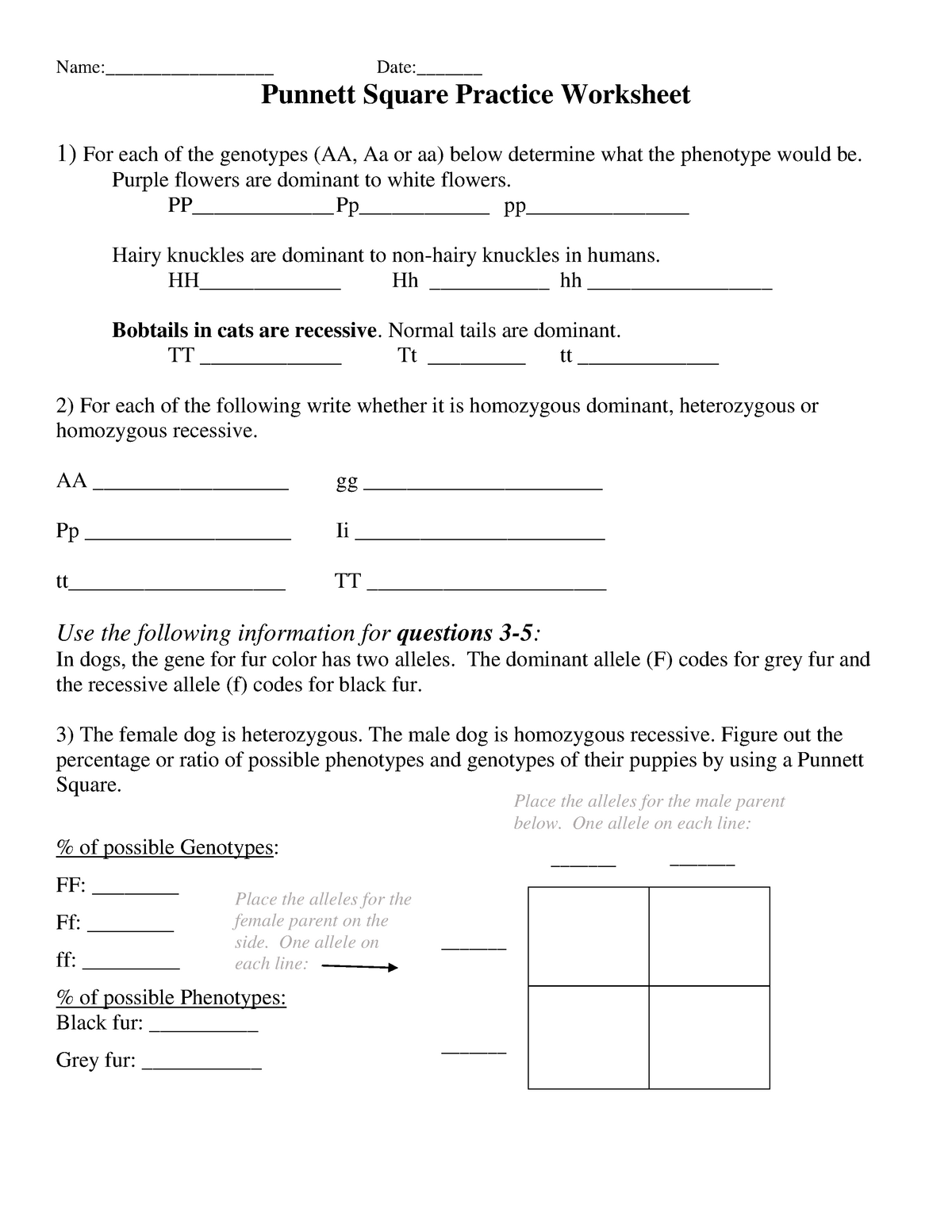 Punnett Square Practice Worksheet (Edited) - Stat for biology Pertaining To Genotypes And Phenotypes Worksheet Answers