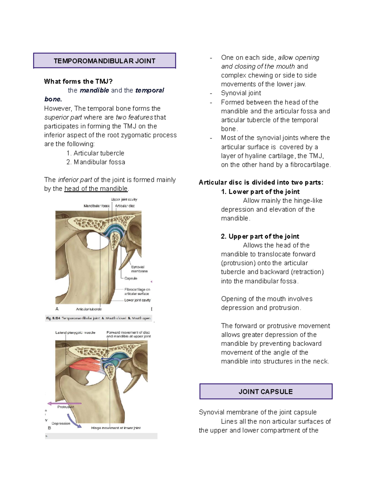 Temporomandibular Joint - TEMPOROMANDIBULAR JOINT What forms the TMJ ...