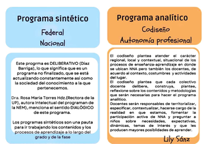 Formato Programa Analítico - ¡Suscríbete! FORMATO PARA ELABORAR EL ...