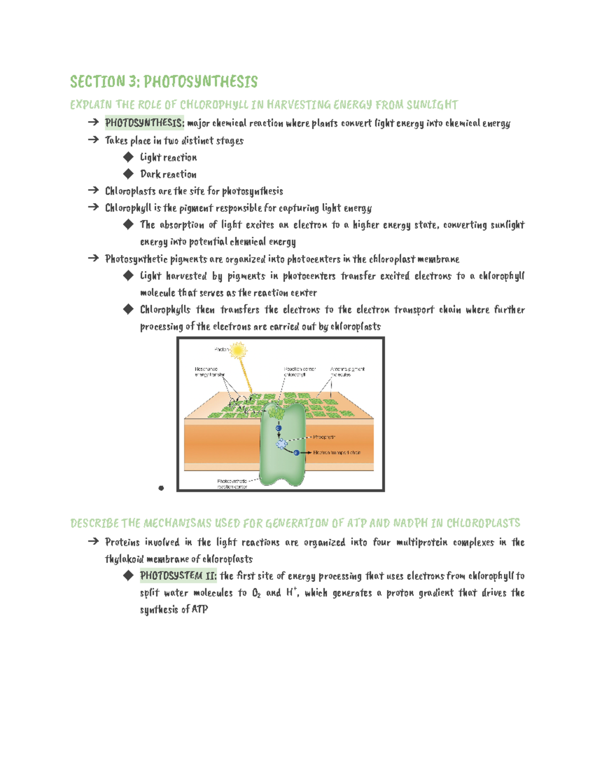 Chapter 3 - Bioenergetics and Metabolism - SEĕåĂĄN 3: āăOTąì󰀄NèăČSIì ...
