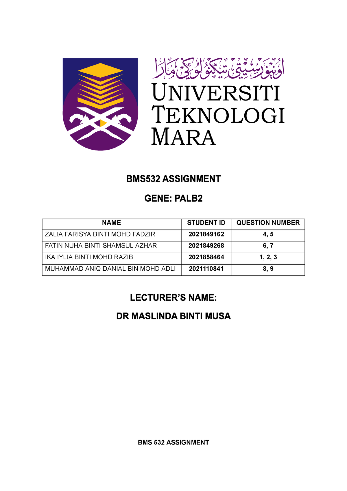 BMS532 Assignment.docx - Google Docs - NAME STUDENT ID QUESTION NUMBER ...