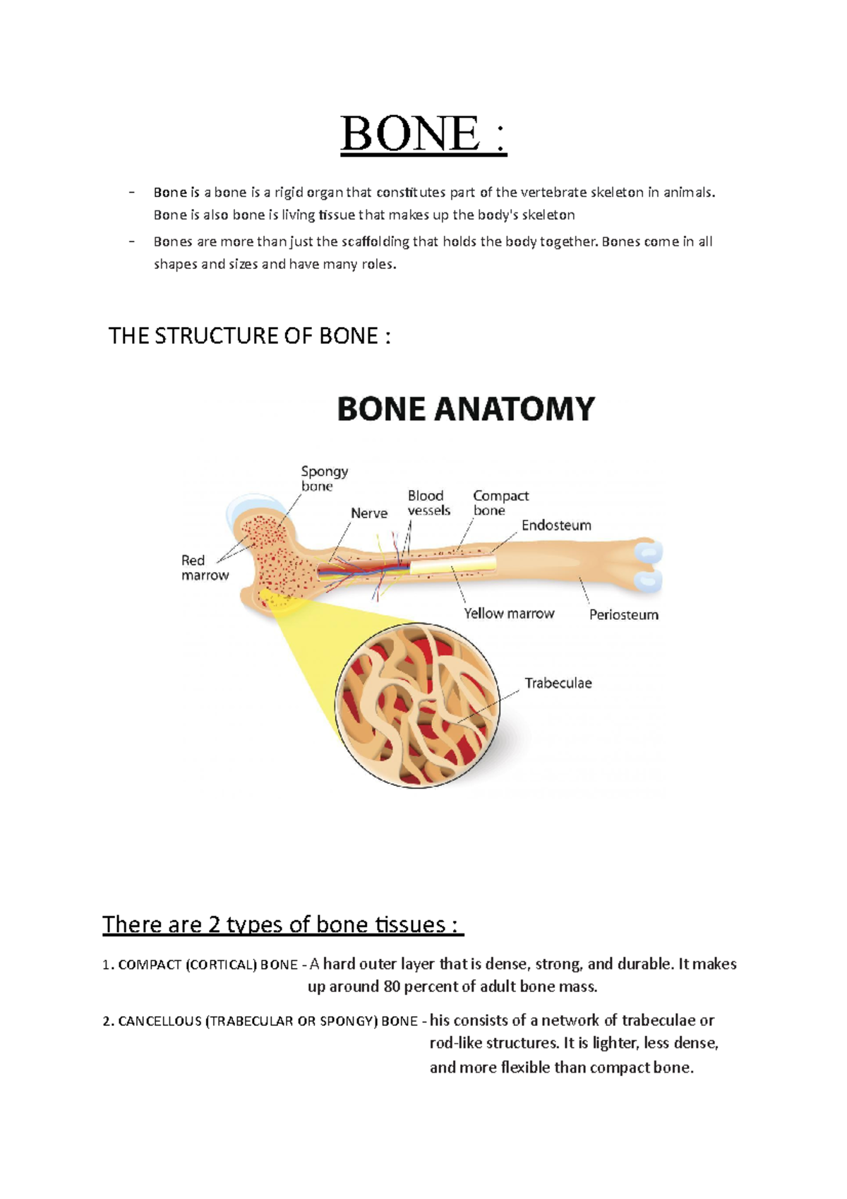 BONE - Structure Function Types - Histology of Cell and Tissue - UiTM ...