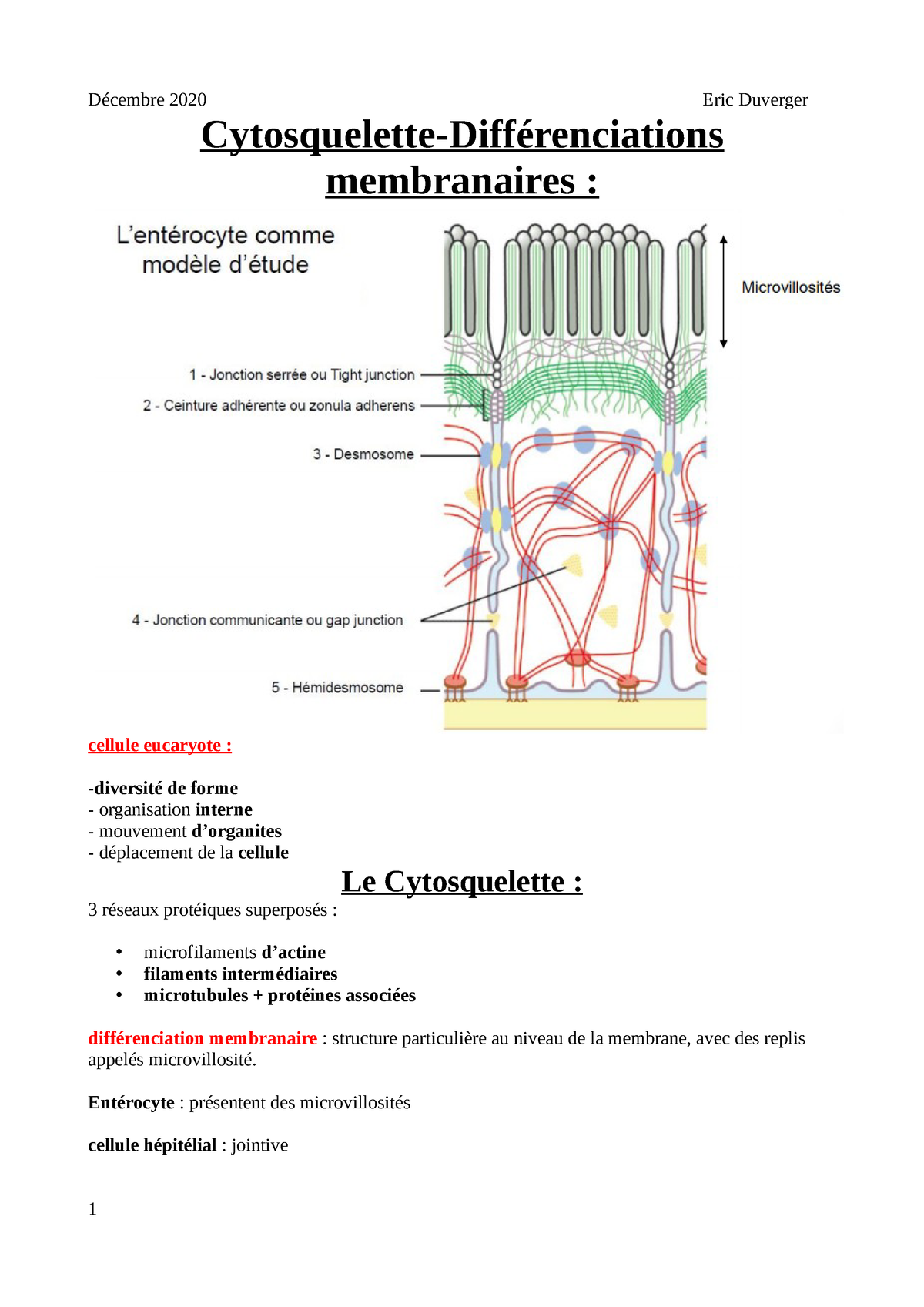 17 3 Cytosquelette Note Décembre 2020 Eric Duverger Cytosquelette