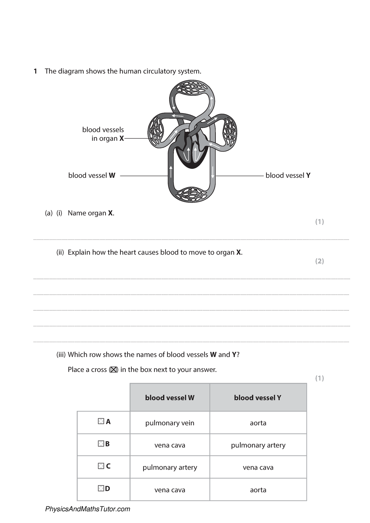 Circulatory System 1 QP - 1 The diagram shows the human circulatory ...