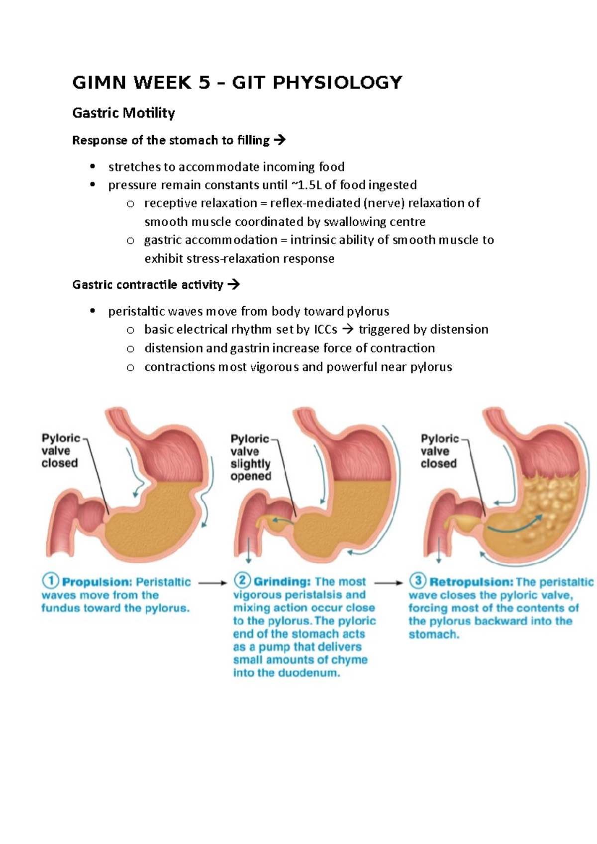 PDF] From The Physiology Of Gastric Emptying To The, 46% OFF