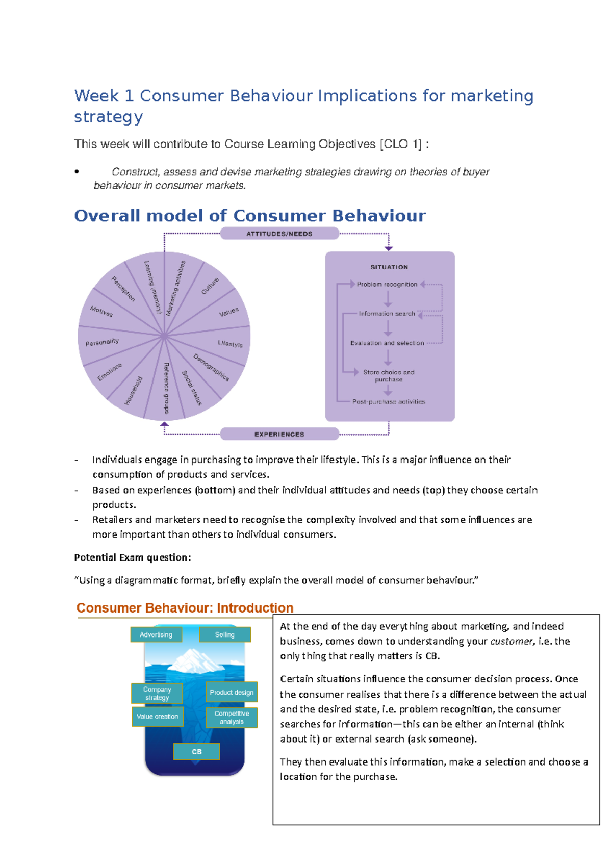 Week 1 Consumer Behaviour Implications for marketing strategy - Overall ...