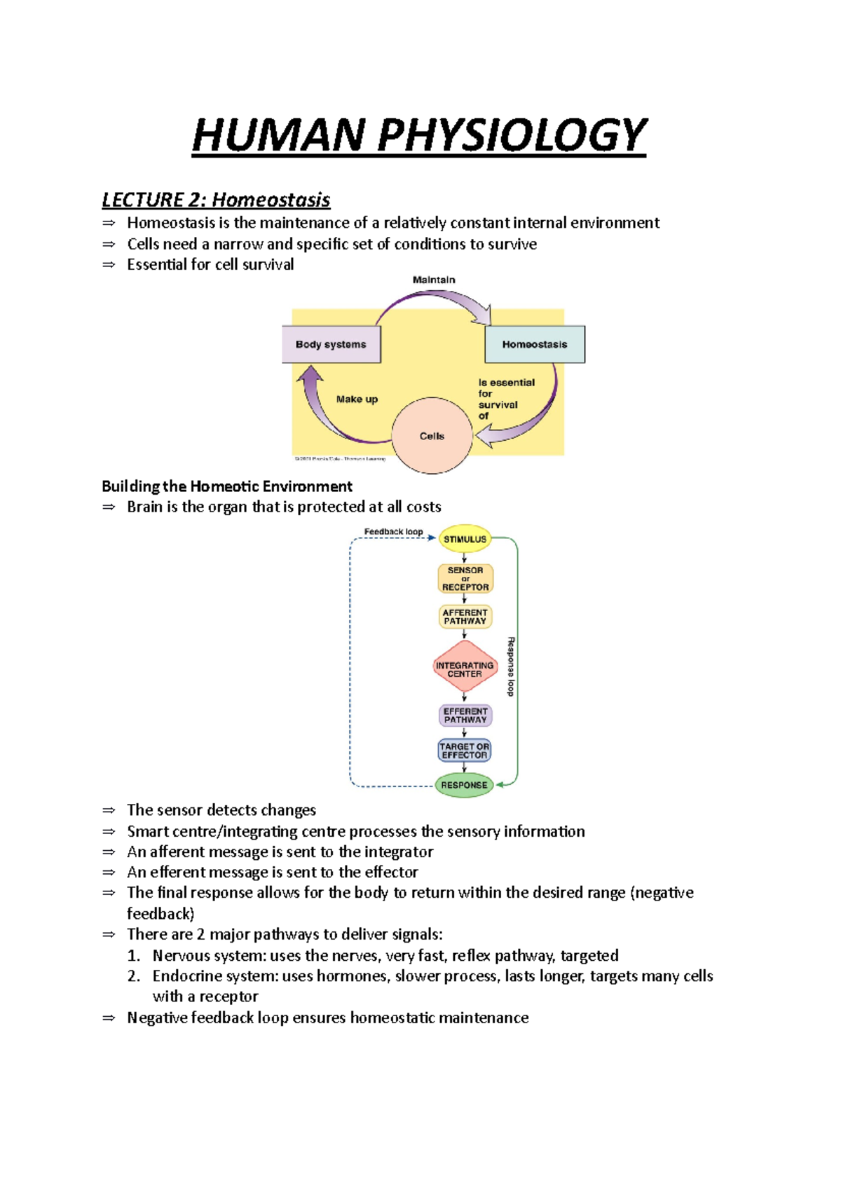 Physiology Summaries 2021 Semester 2 - HUMAN PHYSIOLOGY LECTURE 2 ...