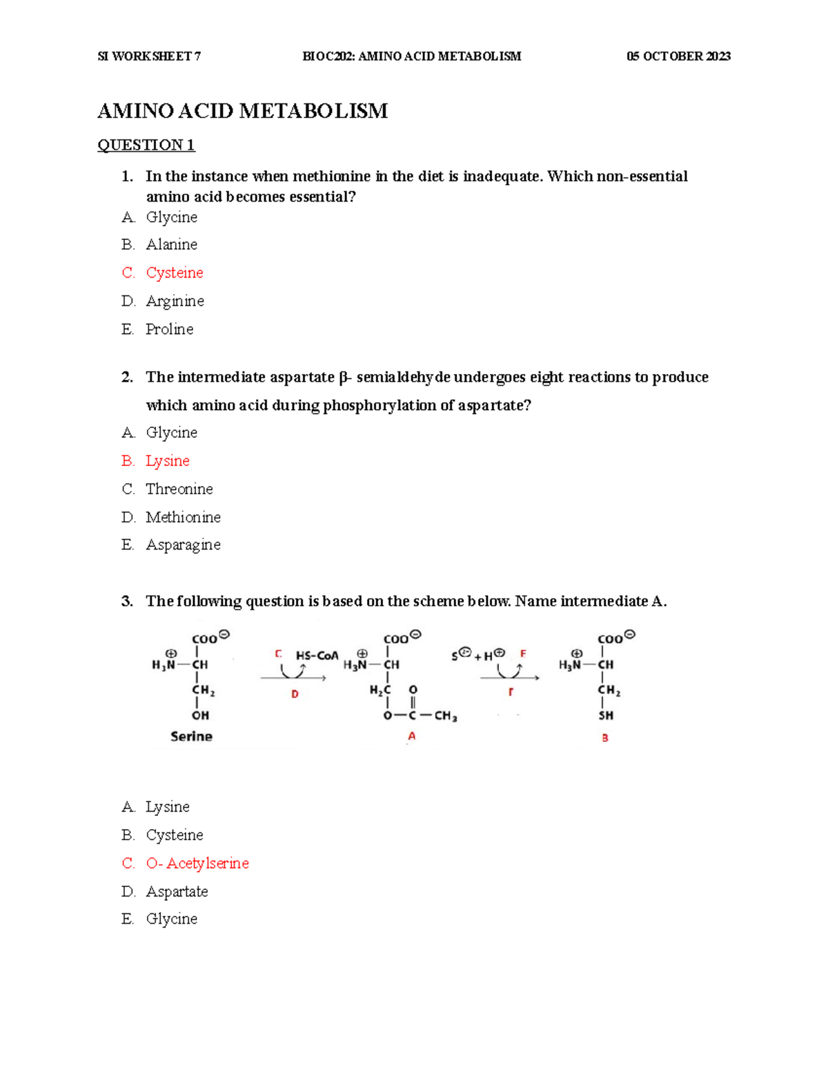 Vunene BIOC202 SI Worksheet 7 MEMO - AMINO ACID METABOLISM QUESTION 1 1 ...