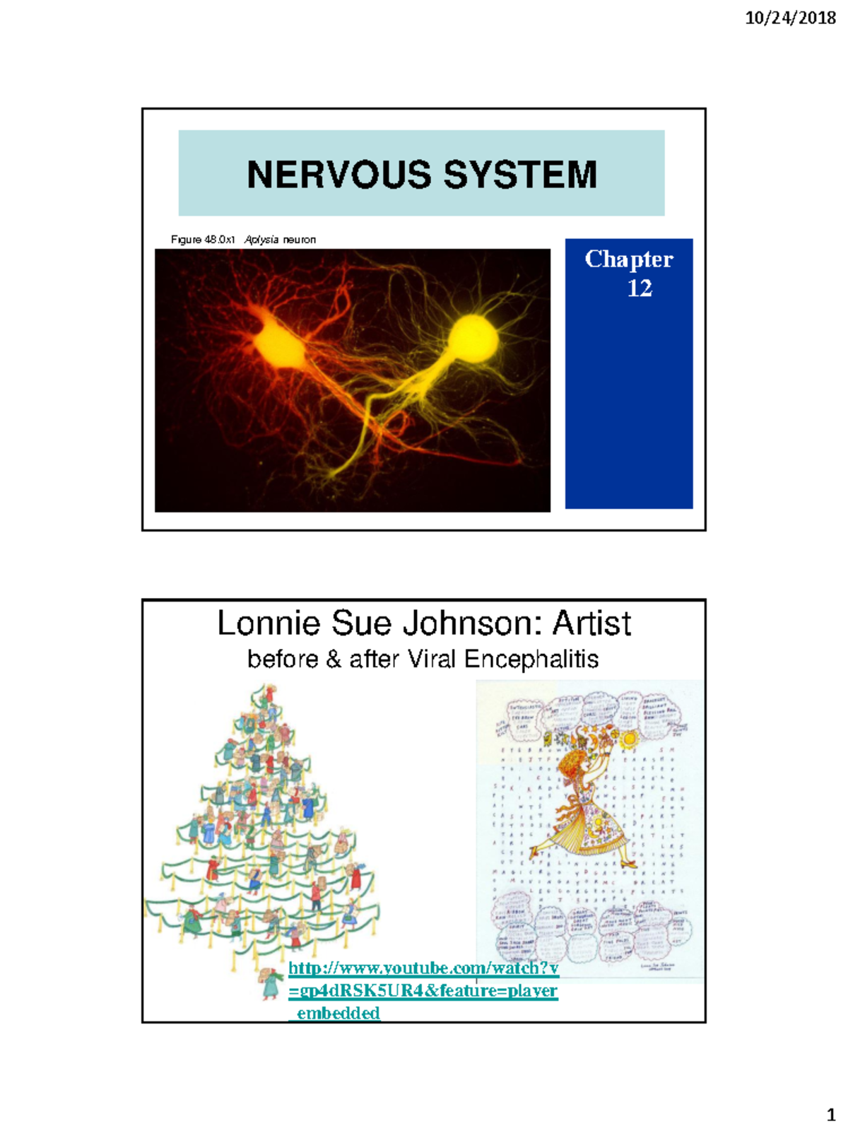 Chapter 12 Part 1 Student - NERVOUS SYSTEM Figure 48 Aplysia neuron ...