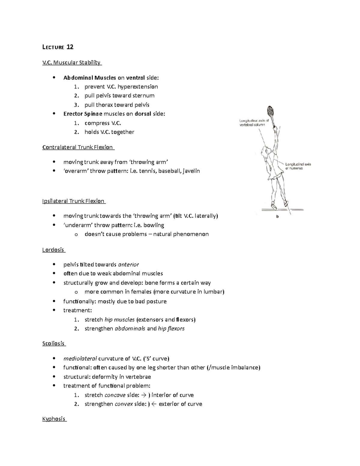 Biomechanics - Lecture notes - Lecture 12 - LECTURE 12 V. Muscular ...