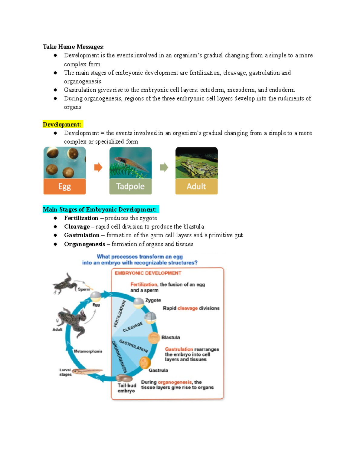 lecture-8-development-take-home-messages-development-is-the-events