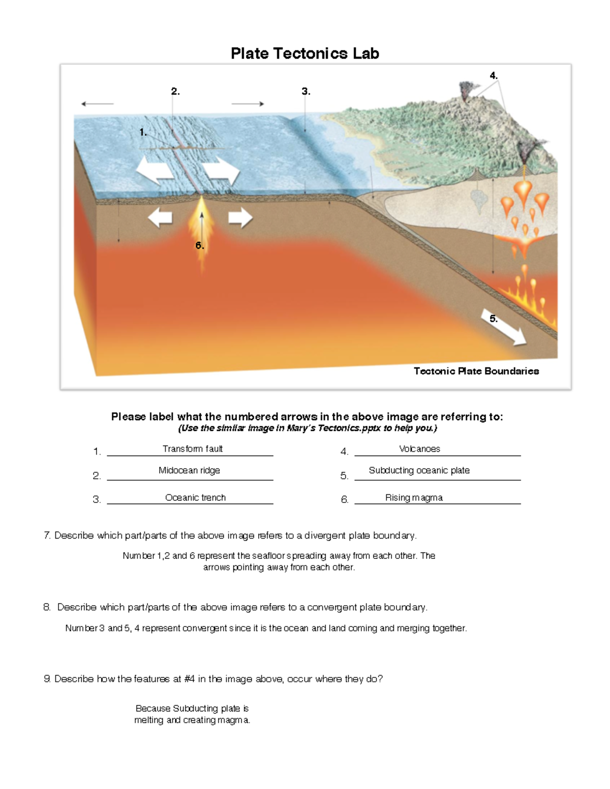 Plate Tectonics Lab lab work Plate Tectonics Lab Please label what the numbered arrows in