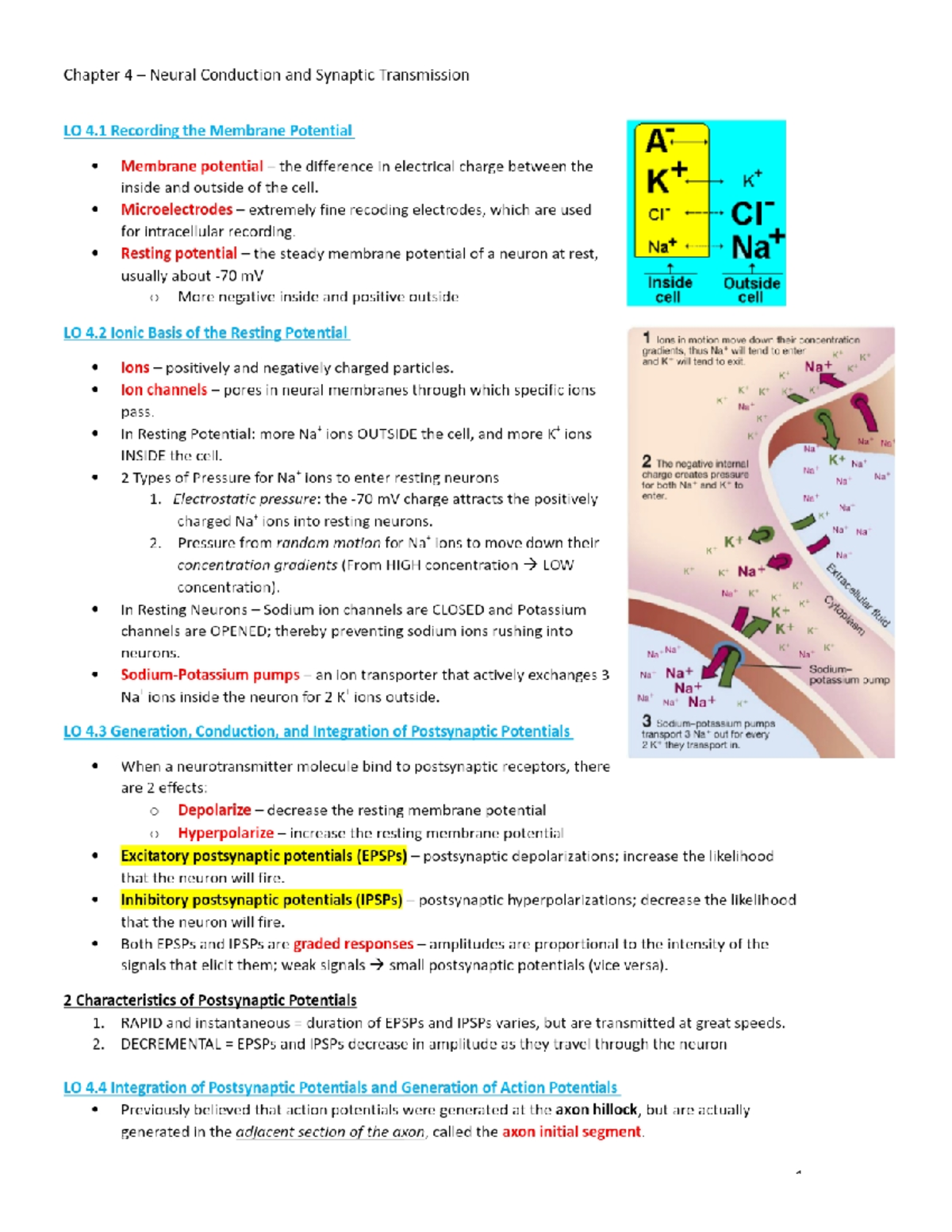 Biopsych- Chapter 4-7 - ,,,,, - Psychology - Studocu