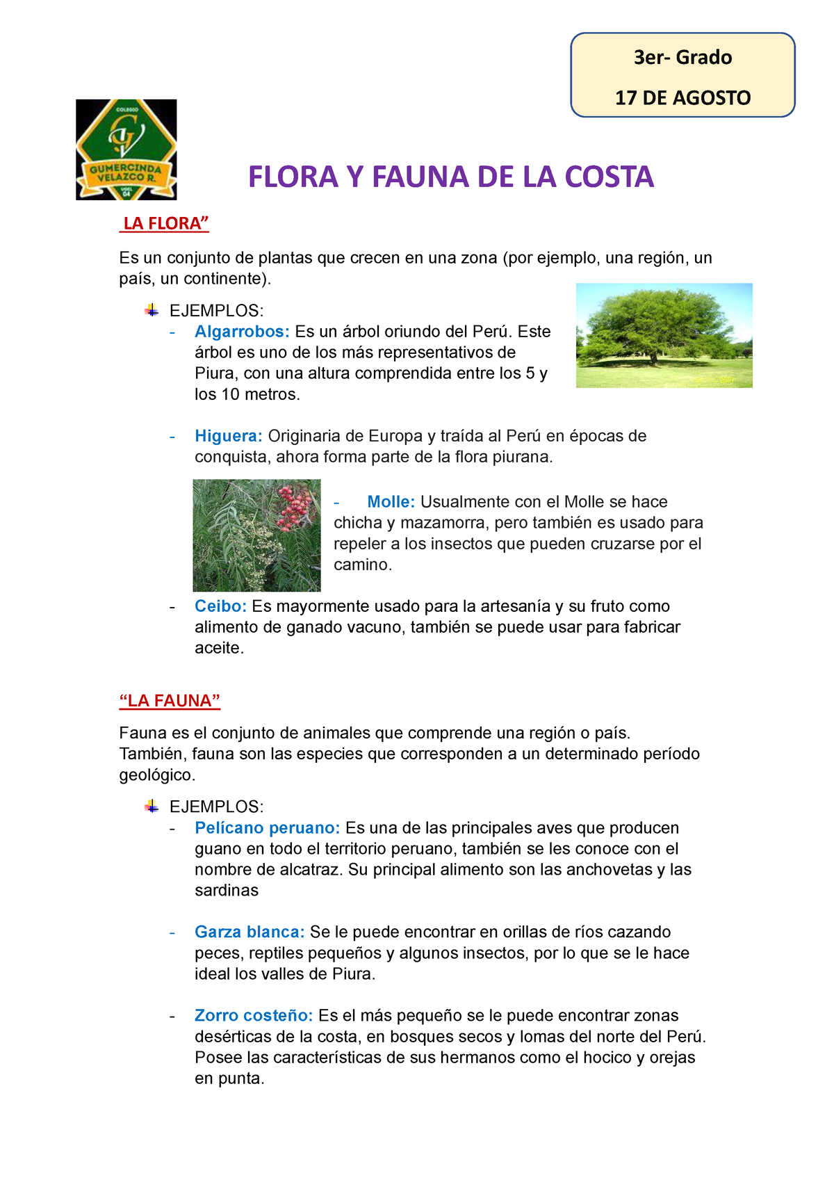 Clase 3° ( 17 DE Agosto)- G - FLORA Y FAUNA DE LA COSTA LA FLORA” Es un