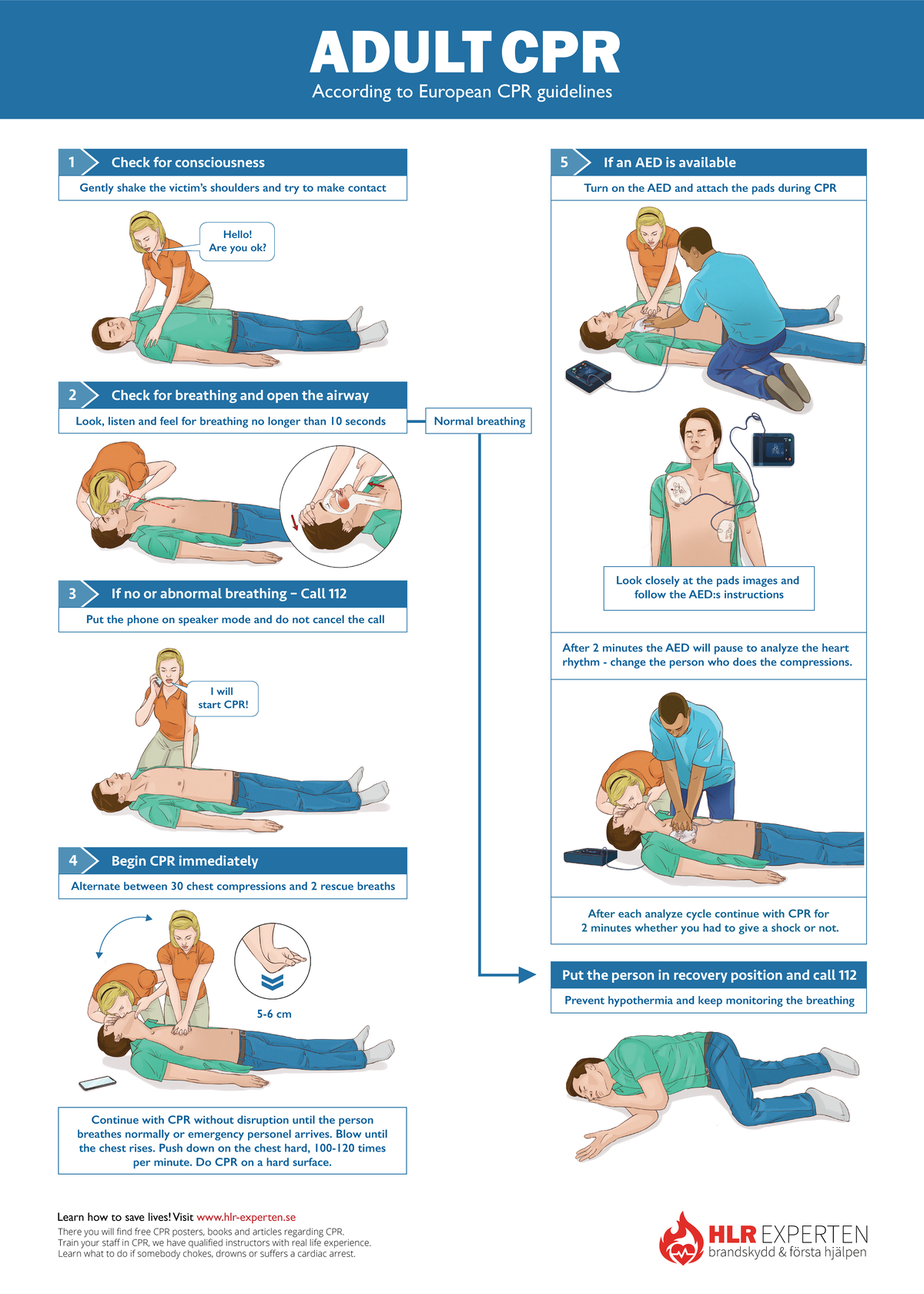 CPR Poster Adult 50x70 - 1 Check for consciousness According to ...