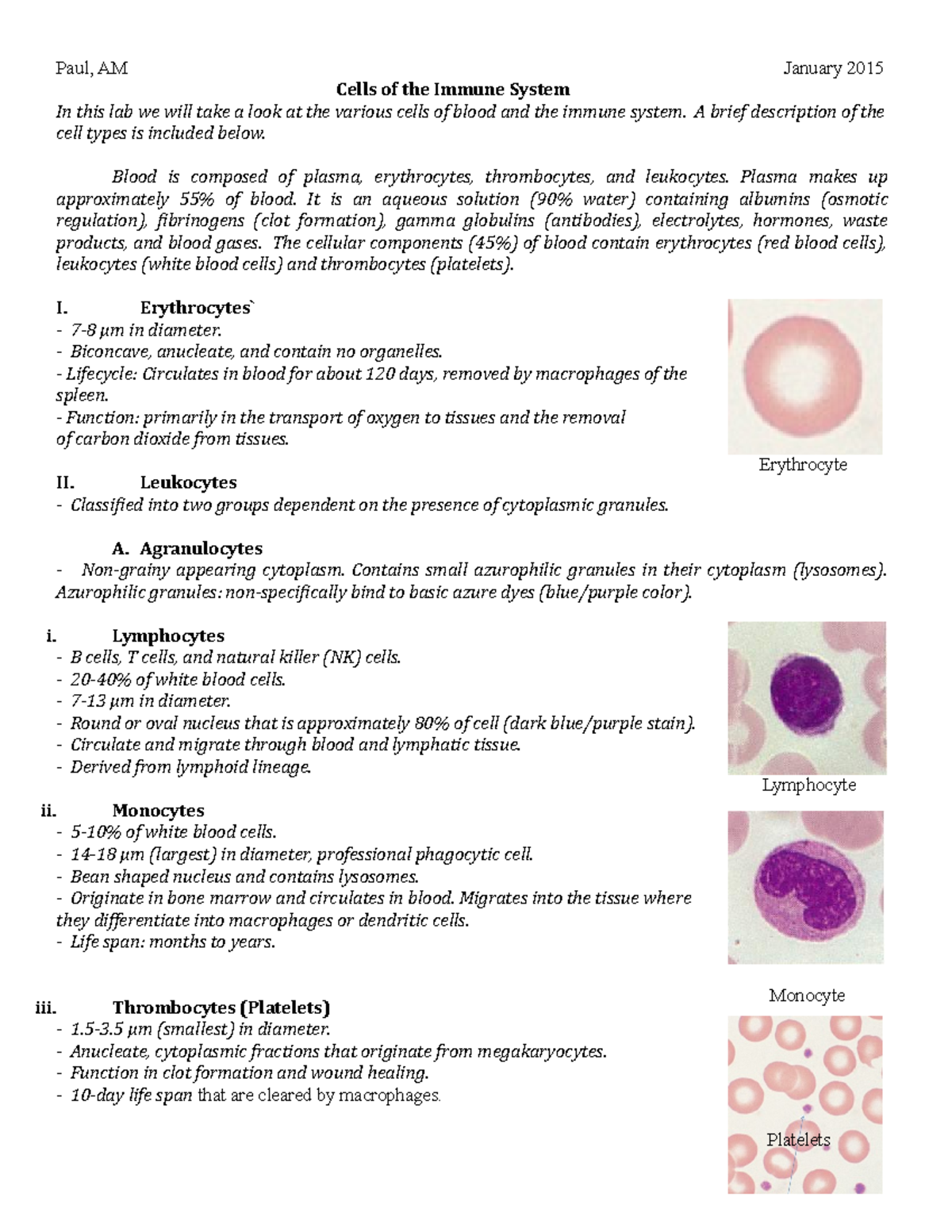 Cells of the Immune System Handout -revised Jan '2022 - BSC 586L - USM ...