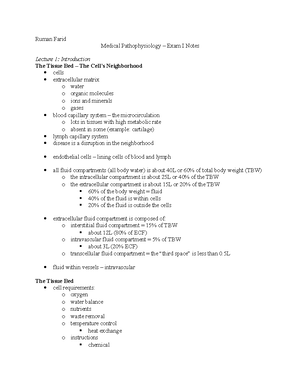 Pathophysiology Renal and GU - Structure and Function of the Kidney ...