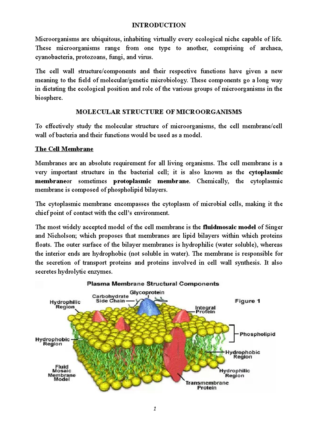 stm-325-theory-microbiology-introduction-microorganisms-are