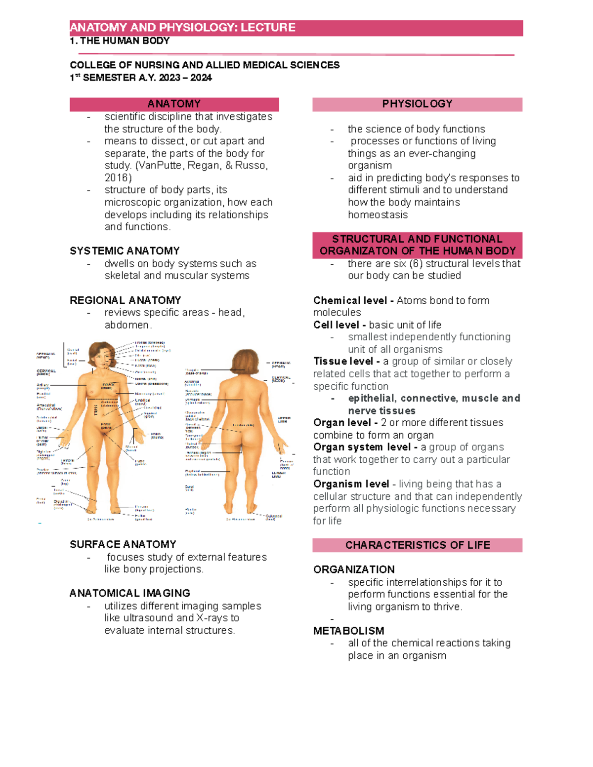 1LEC THE Human BODY - 1. THE HUMAN BODY COLLEGE OF NURSING AND ALLIED ...