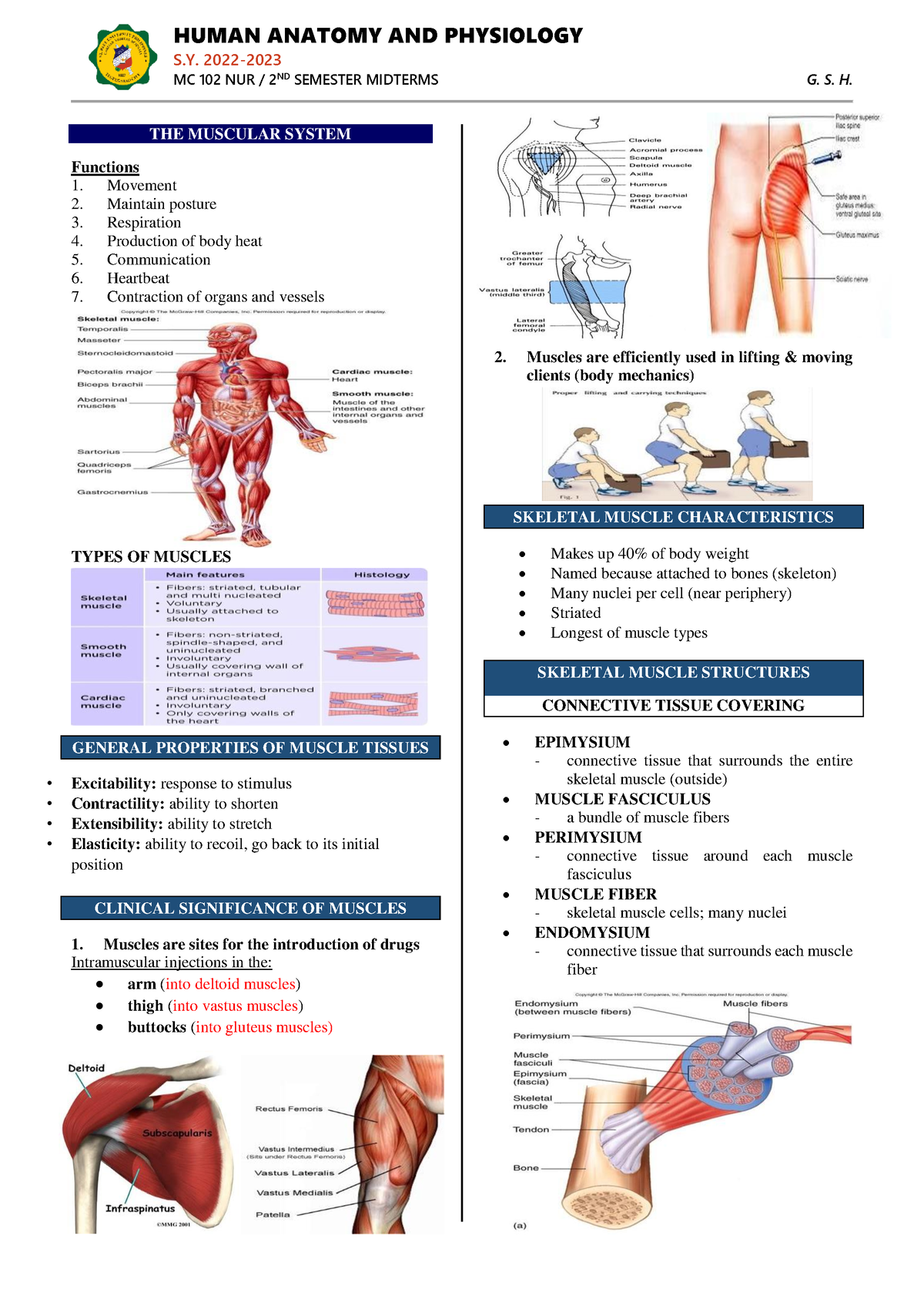 Muscular- System - trances - S. 2022- MC 102 NUR / 2ND SEMESTER ...