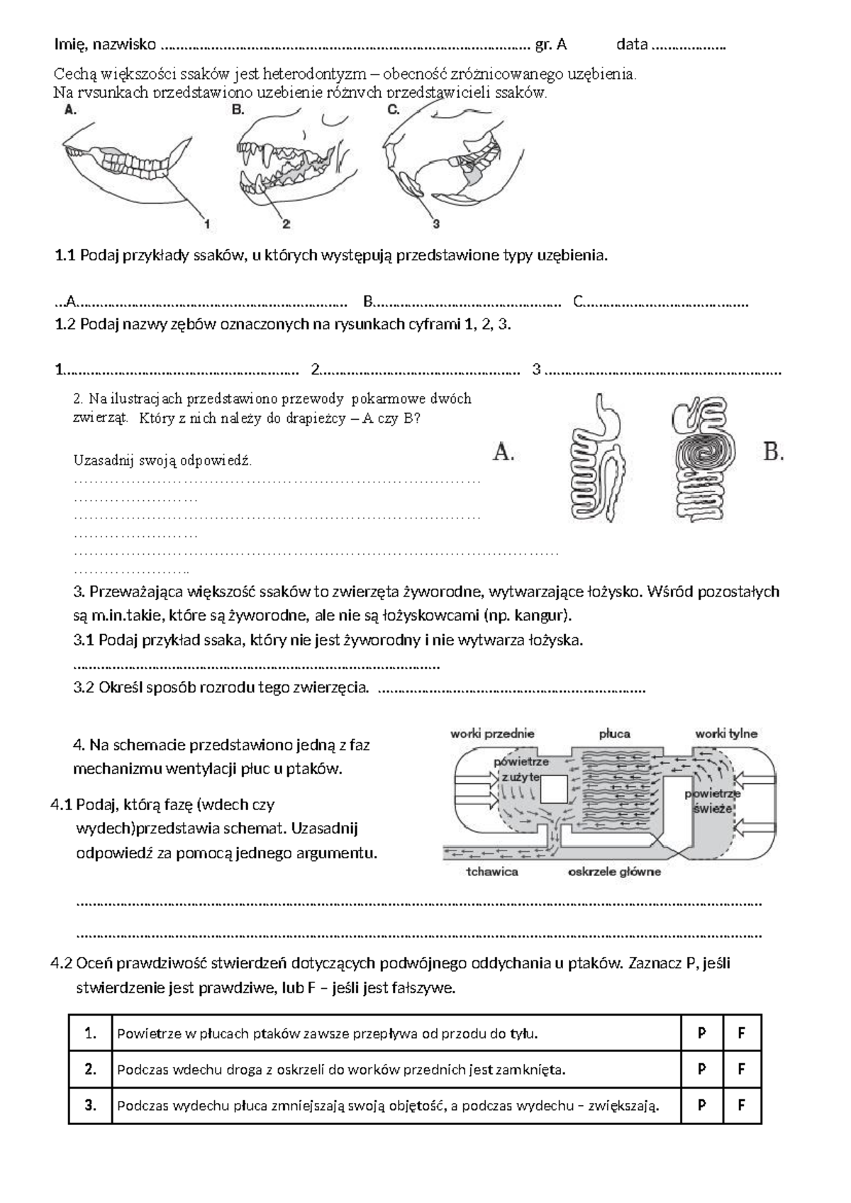 Gady Ptaki Ssaki Sprawdzian Liceum