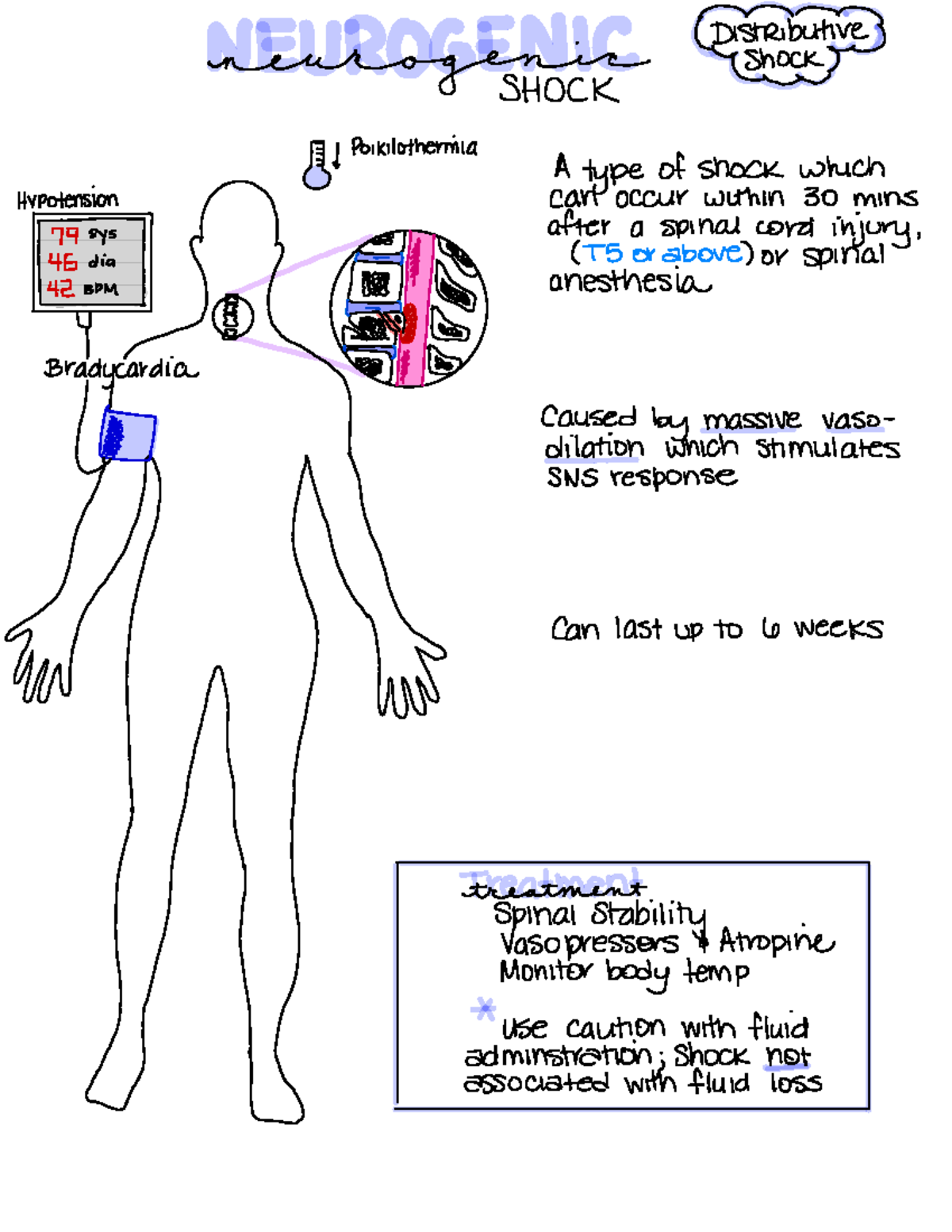 Treatment and Signs/ Symptoms of Shock detective menagerie shock