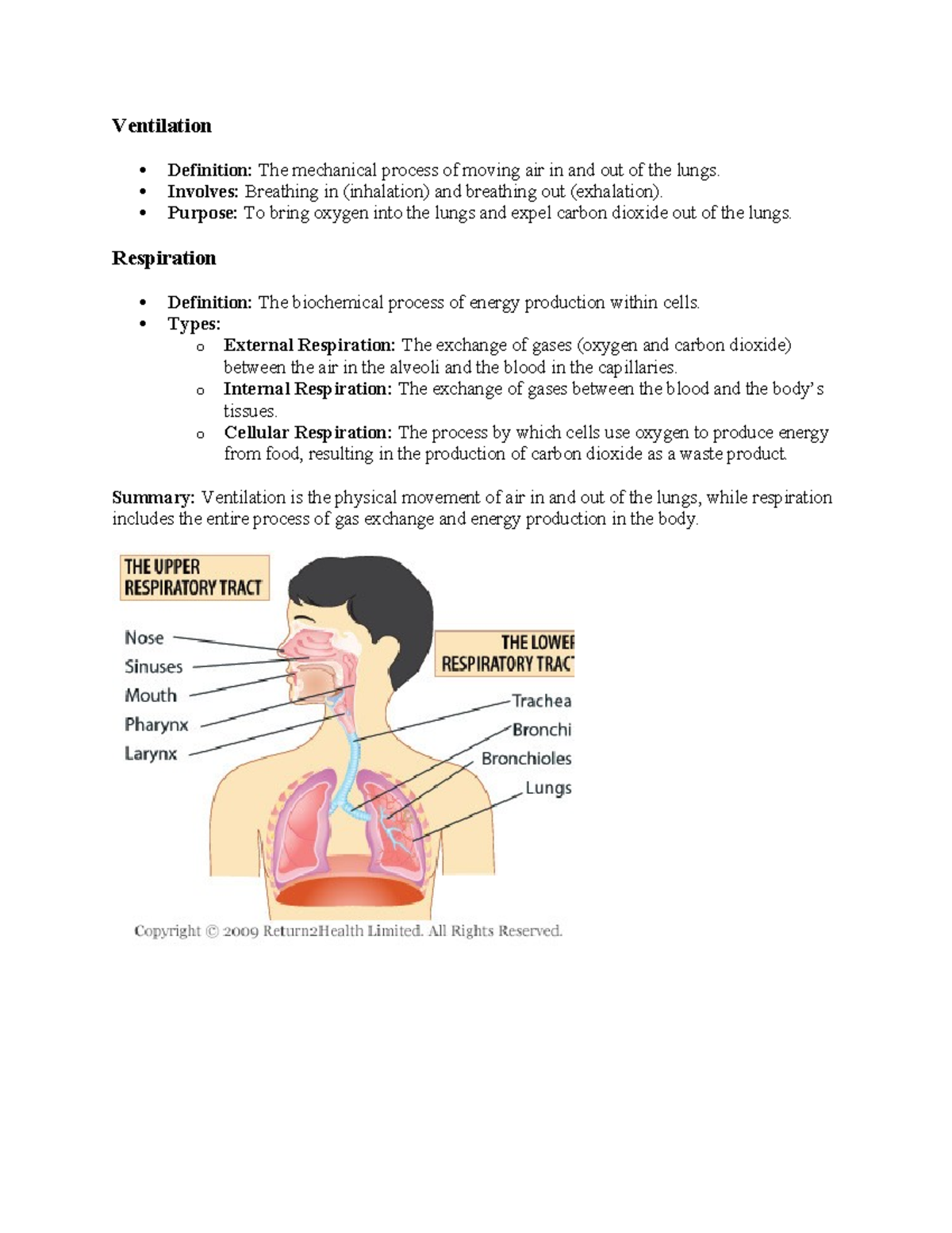 Basic Science Respiration - Ventilation Definition: The mechanical ...