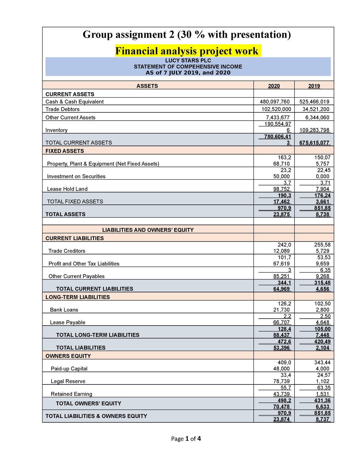 Financial Analysis Project Work Group assignment 2 (30 with