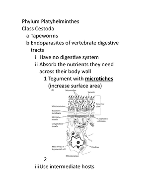 Invertebrate Final Exam Study Guide - Invertebrate Final Exam Study ...