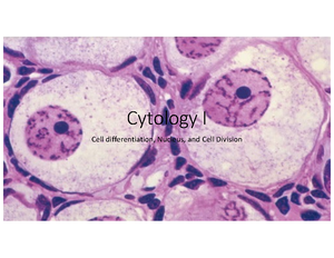 BMS 550 Histology Exam Two-2 - 02 03 04 05 06 07 08 09 SLIDESMANIA ...