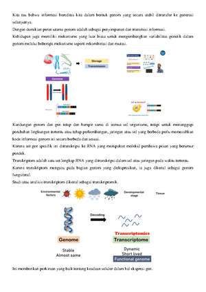 SOAL Pembelahan SEL - SOAL PEMBELAHAN SEL Mitosis Adalah Pembelahan Sel ...