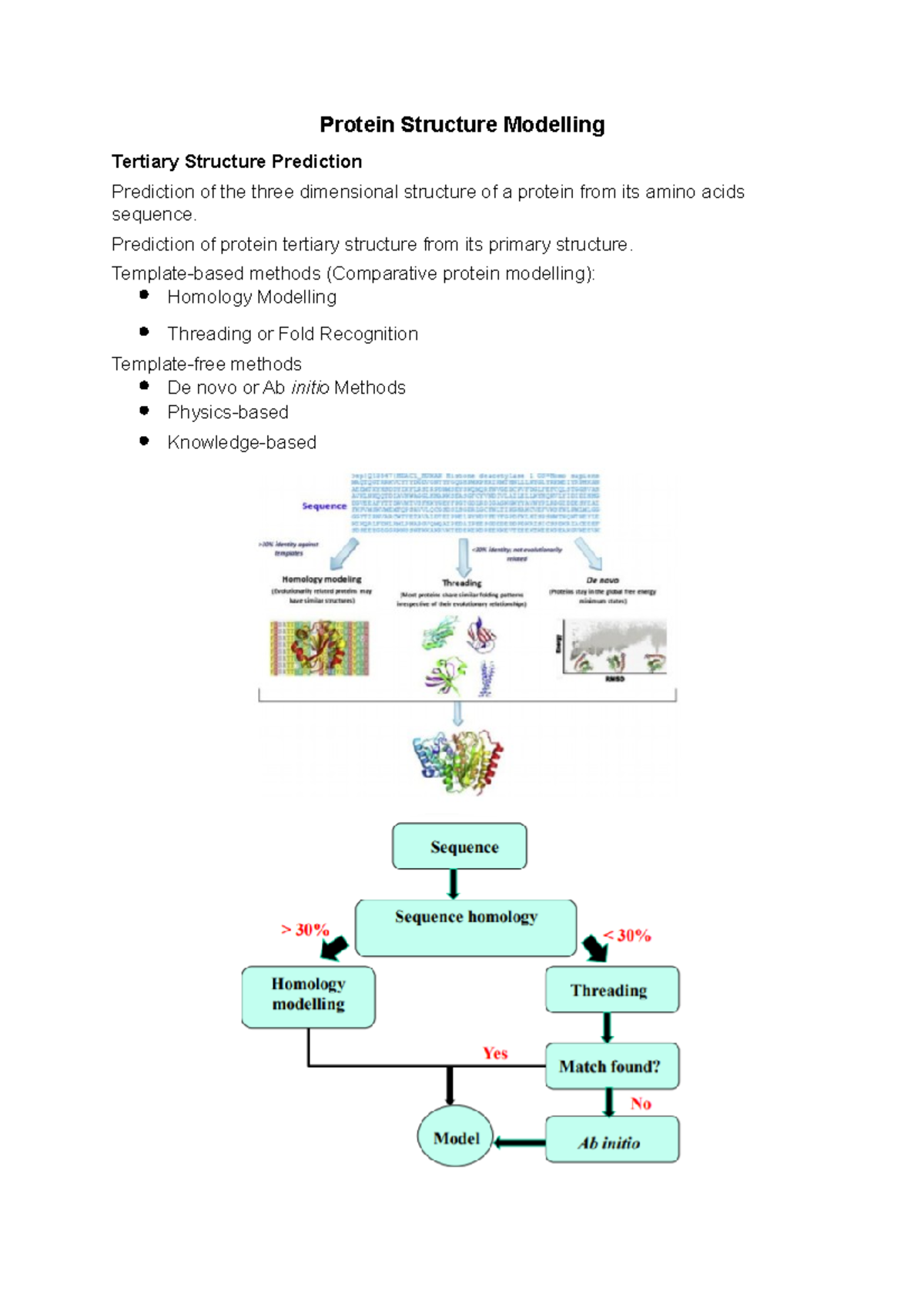 Protein Structure Modelling - Protein Structure Modelling Tertiary ...