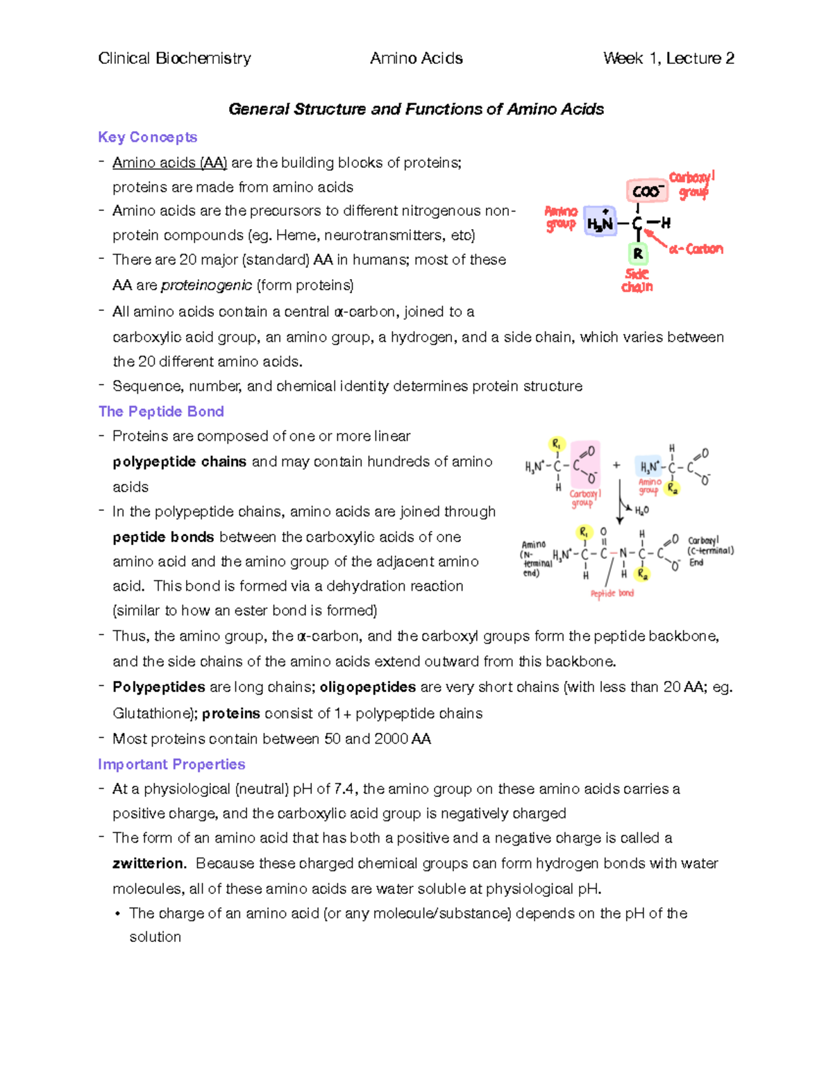 Clincal Biochem; Amino Acids; W1, Lecture 2 General Structure and
