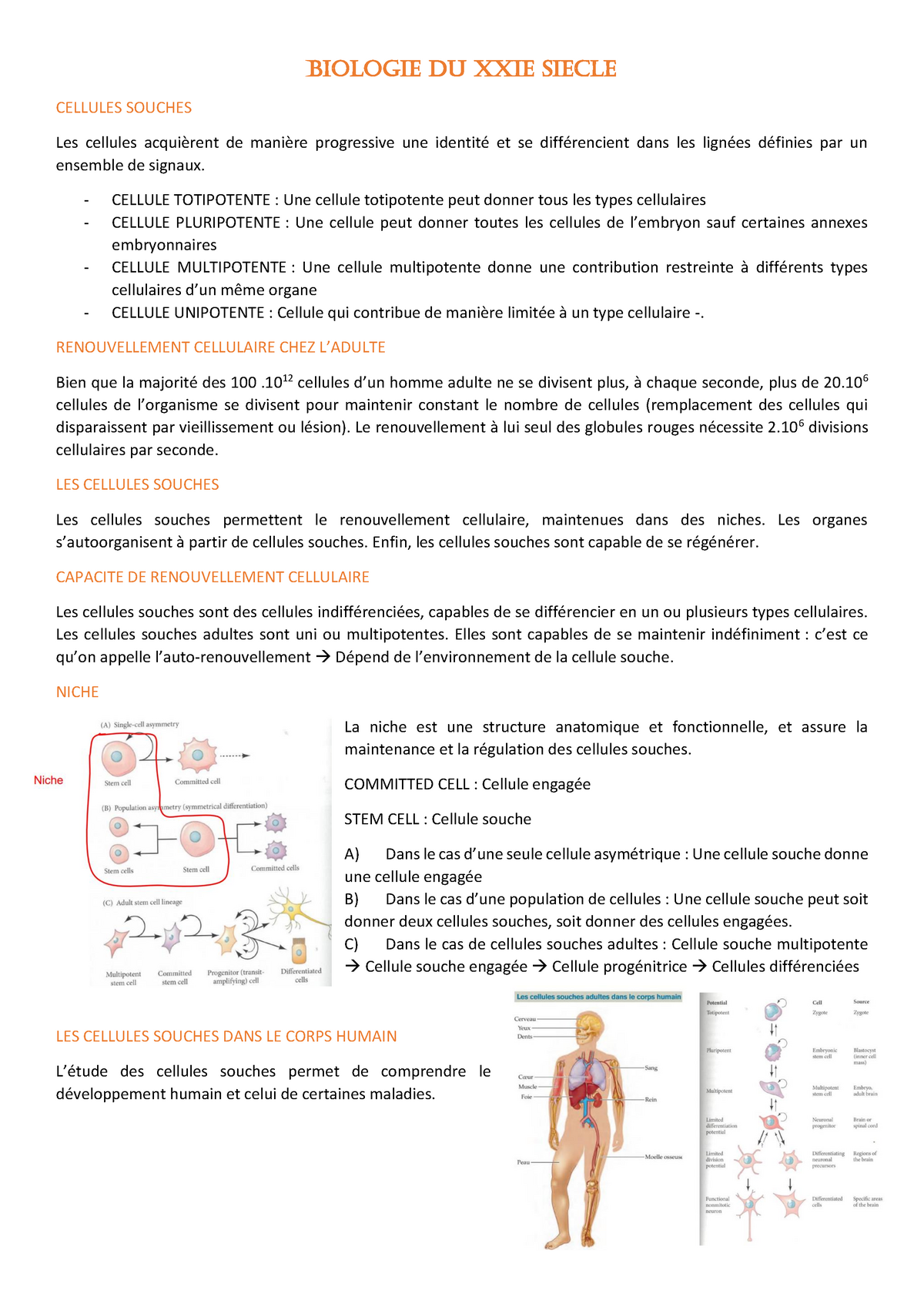 CM9 - Biologie Du Développement Animal - BIOLOGIE DU XXIe SIECLE ...