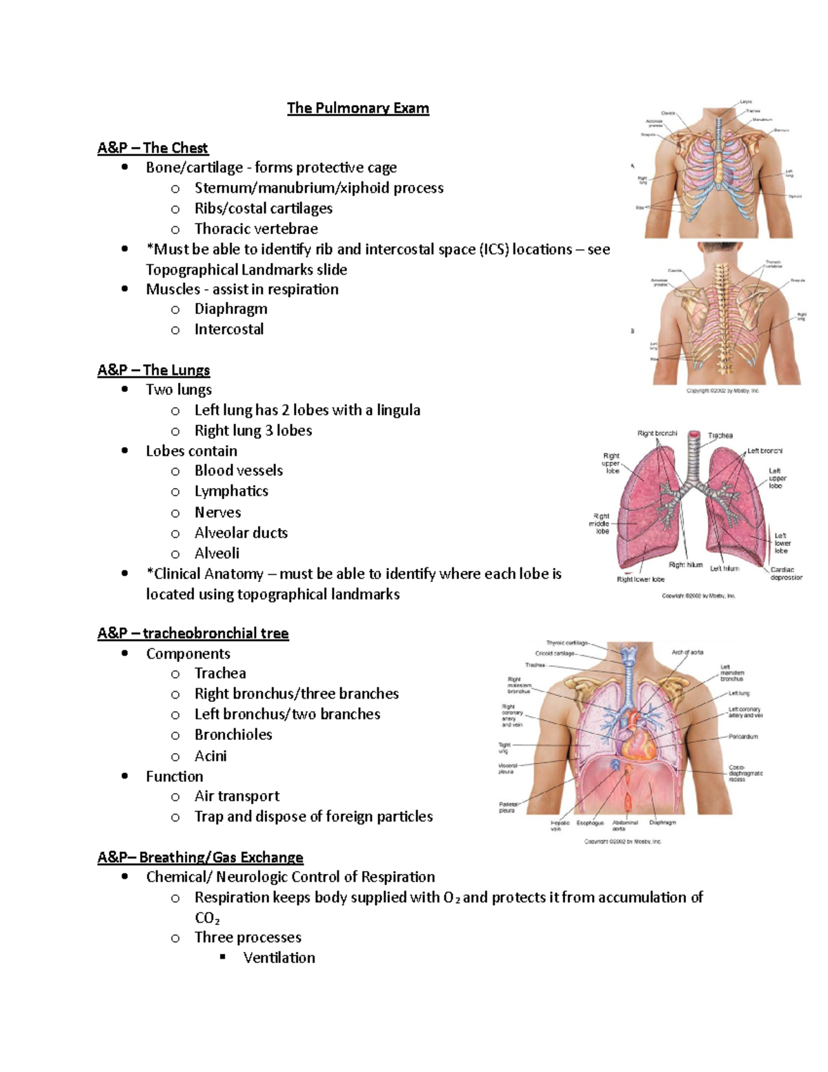 The Pulmonary Exam - The Pulmonary Exam A&P – The Chest Bone/cartilage ...