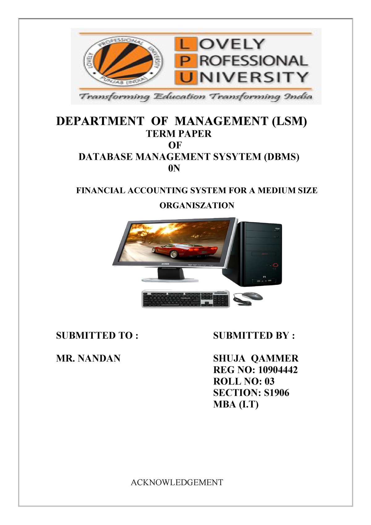 database management system term paper