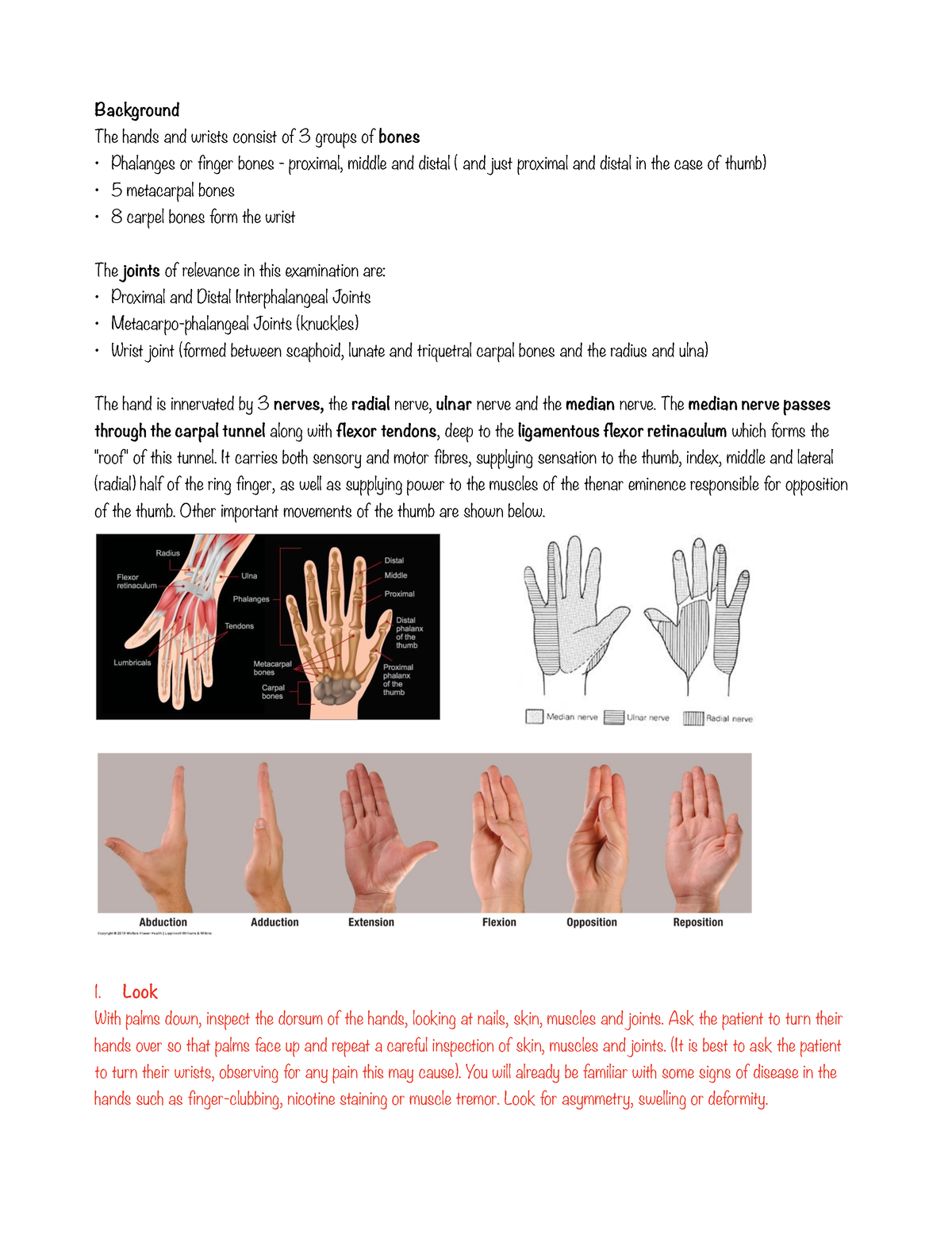 Examination Of The Hand - Background The Hands And Wrists Consist Of 3 ...