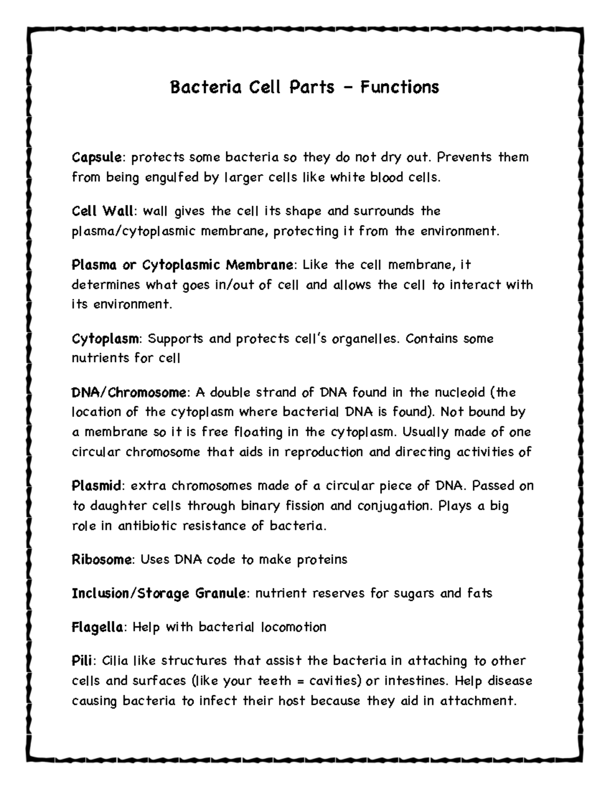 Bacteria Cell Parts - INB Notes - Bacteria Cell Parts – Functions ...