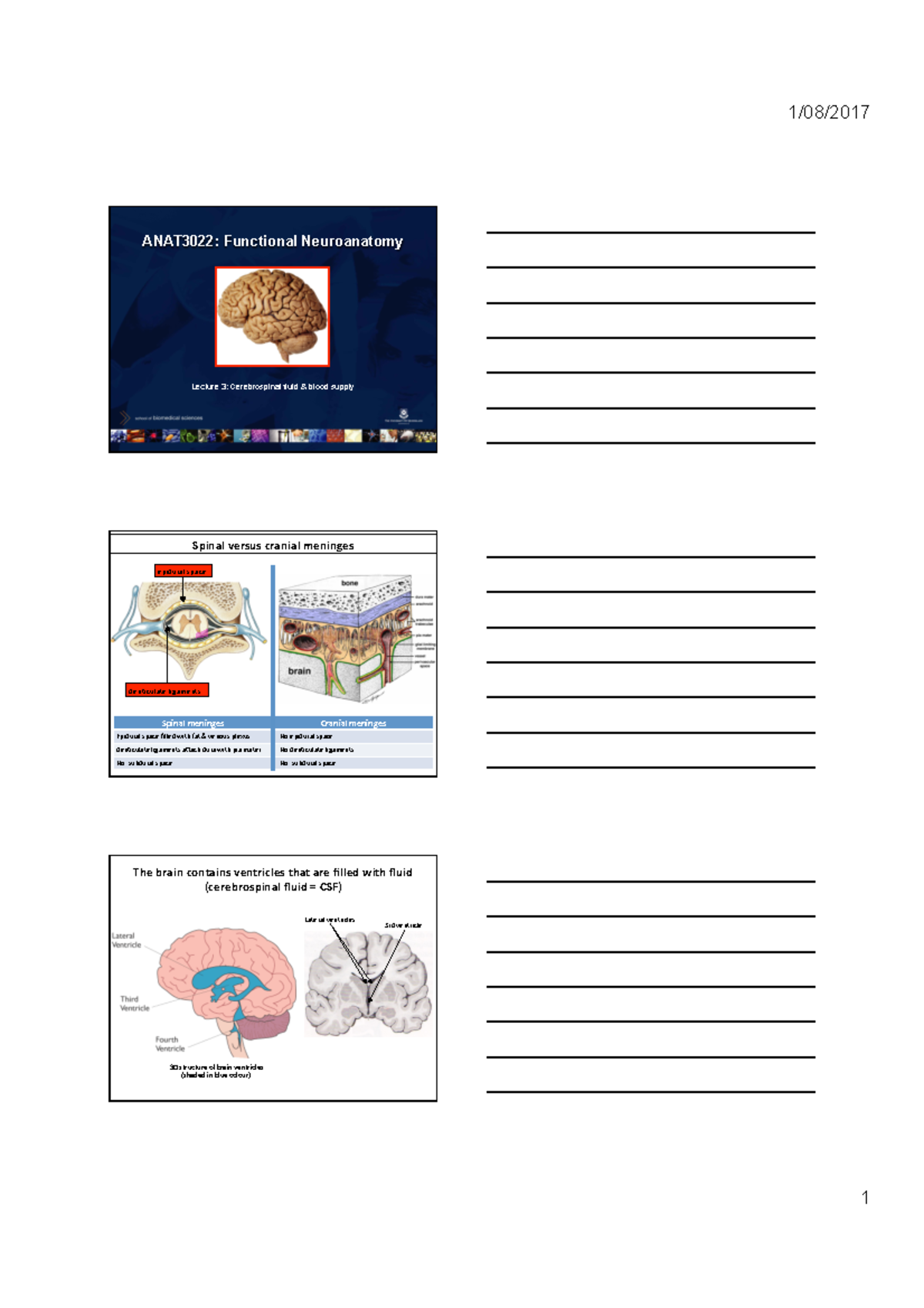 Lecture 3 Overview of the Brain Handout - ANAT3022: Functional ...