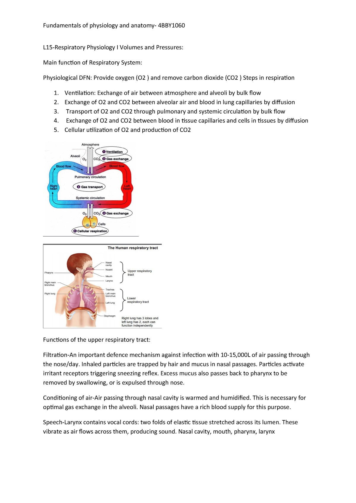 L15 16 Fundamentals Of Physiology L15 Respiratory Physiology Volumes And Studocu