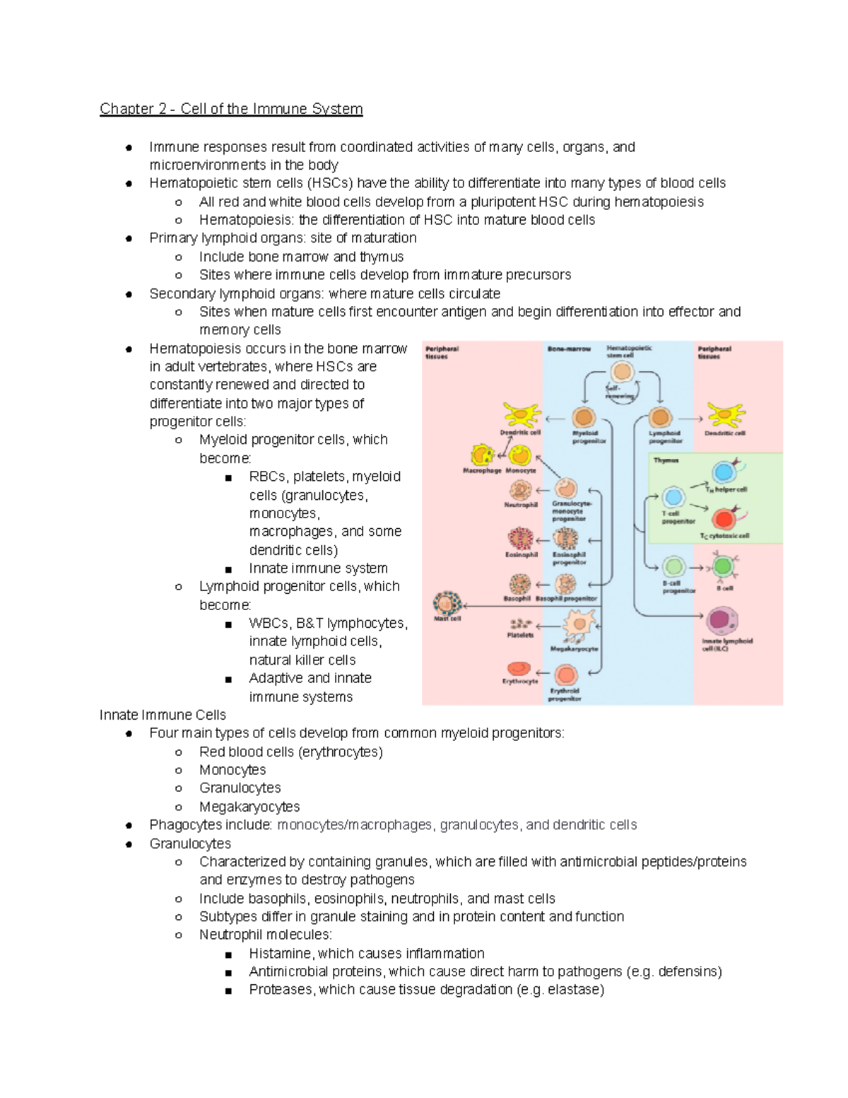 Chapter 2 - Cell of the Immune System - Micr3230 - U of G - Studocu