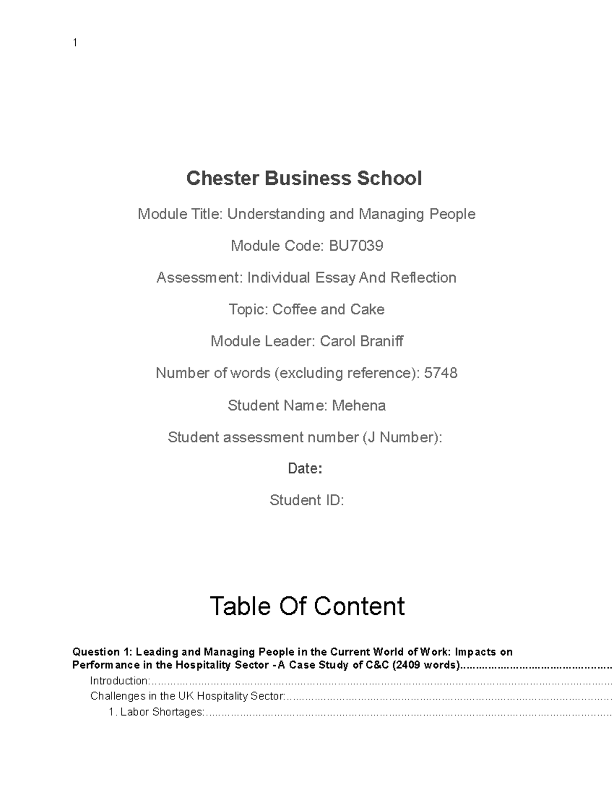 Mehana Assessment BU7039 Chester Business School Module Title