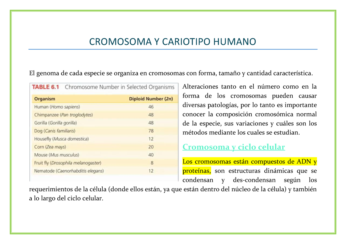 Cromosoma Y Cariotipo Humano Cuaderno - CROMOSOMA Y CARIOTIPO HUMANO El ...