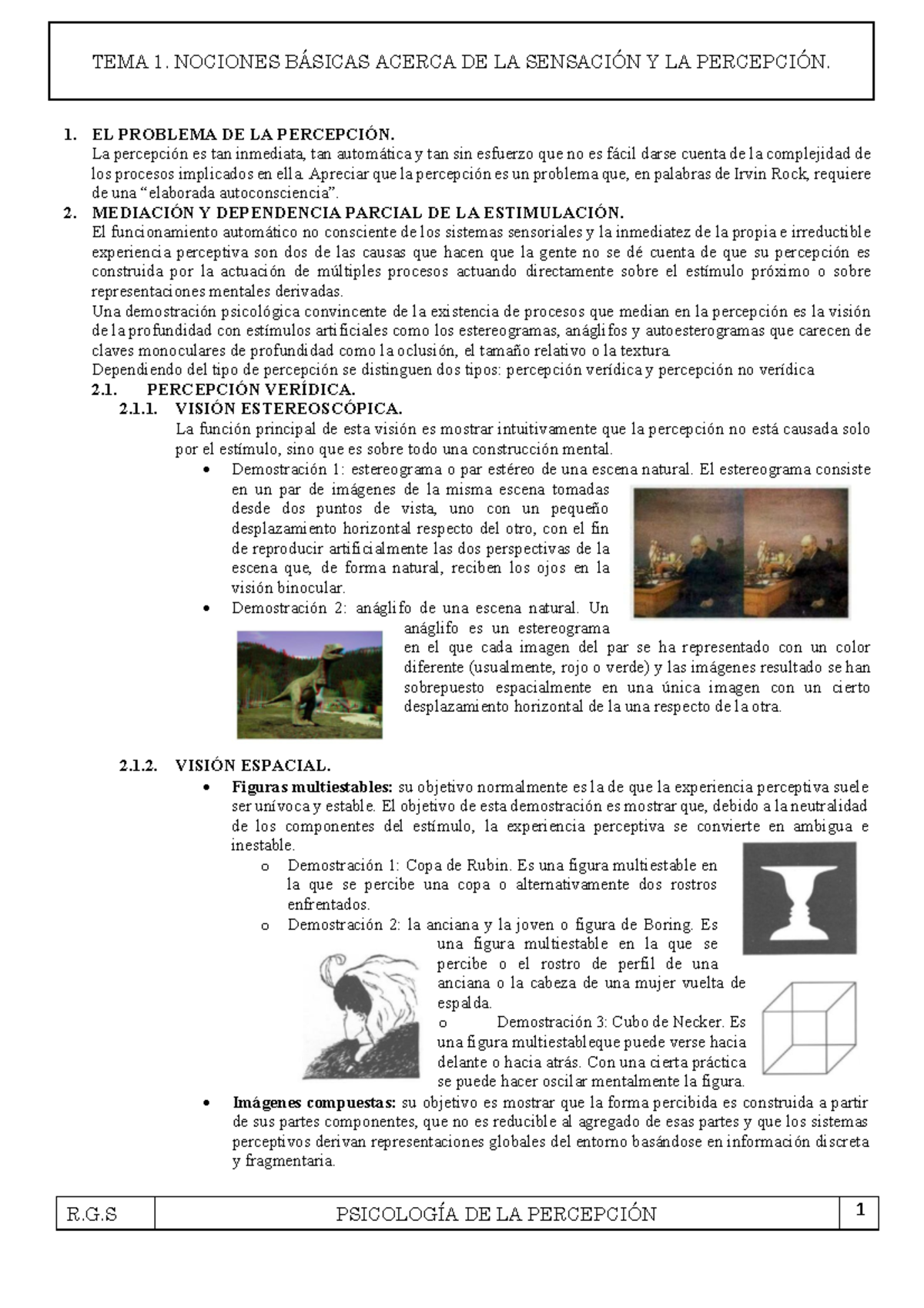 TEMA 1 Completo - 1. EL PROBLEMA DE LA PERCEPCIÓN. La percepción es tan ...