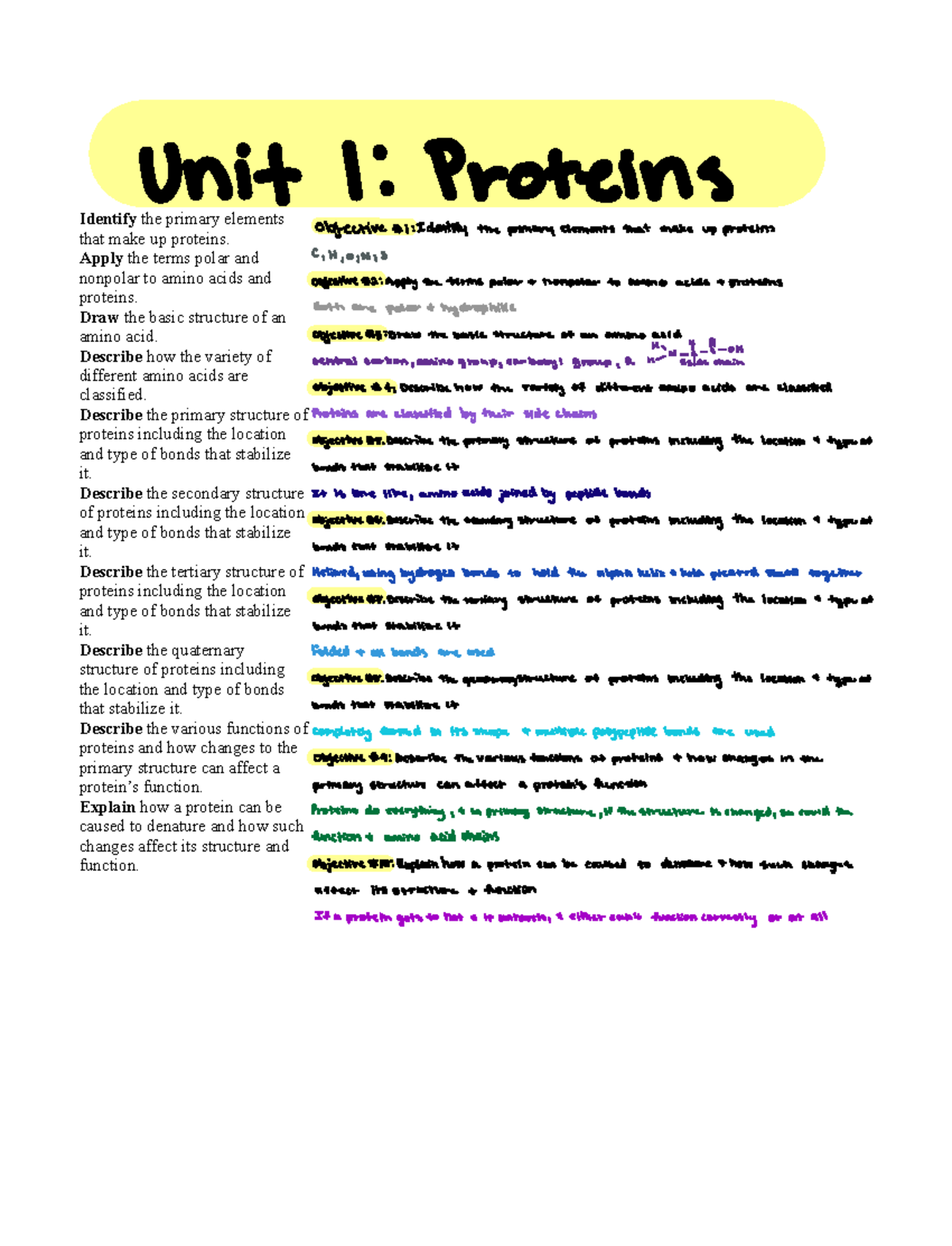 Unit 1 Proteins Study Guide - Unit 1 Proteins Objective 1 - Studocu