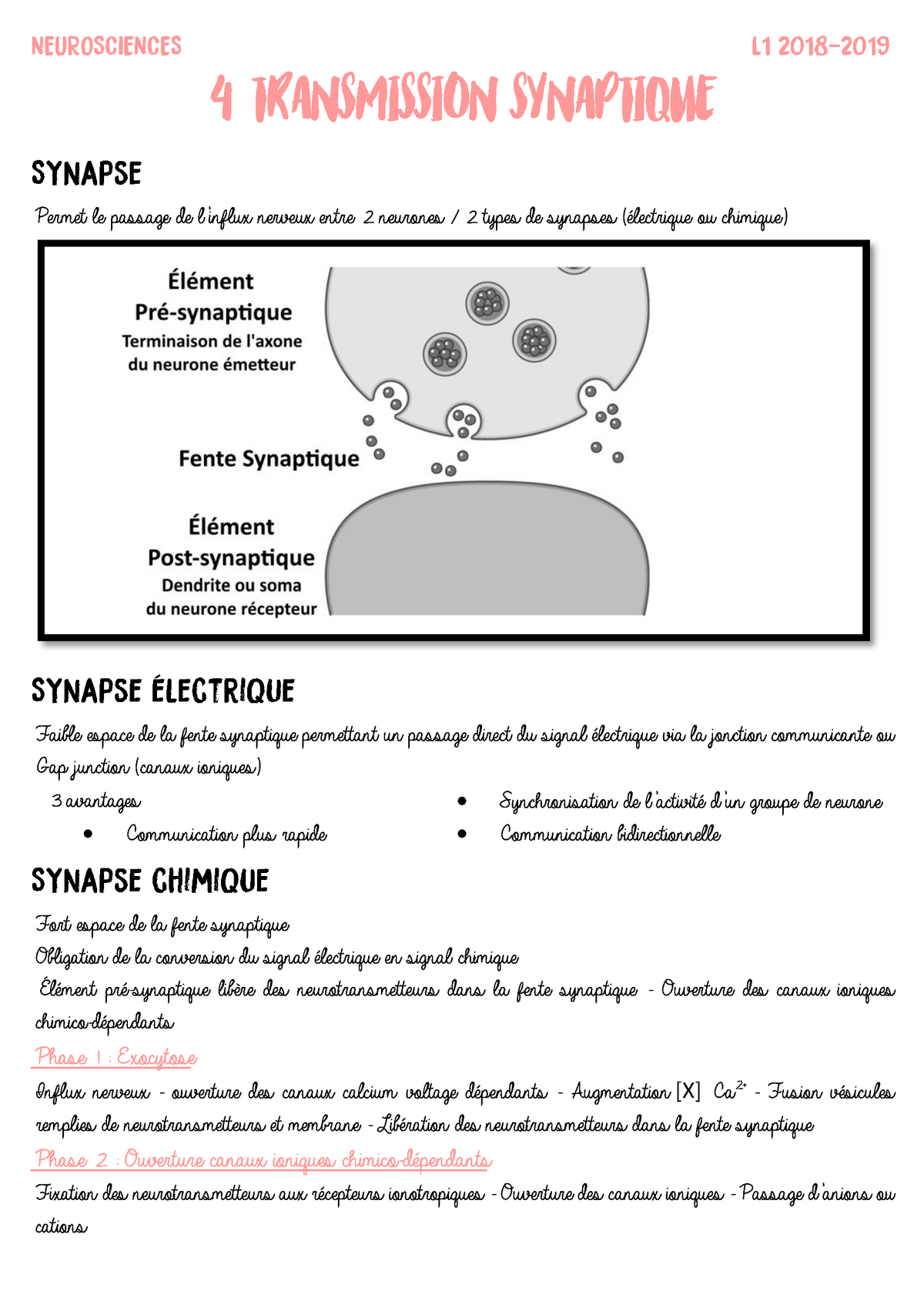 04. Transmission Synaptique - .4. Transmission Synaptique Permet Le ...